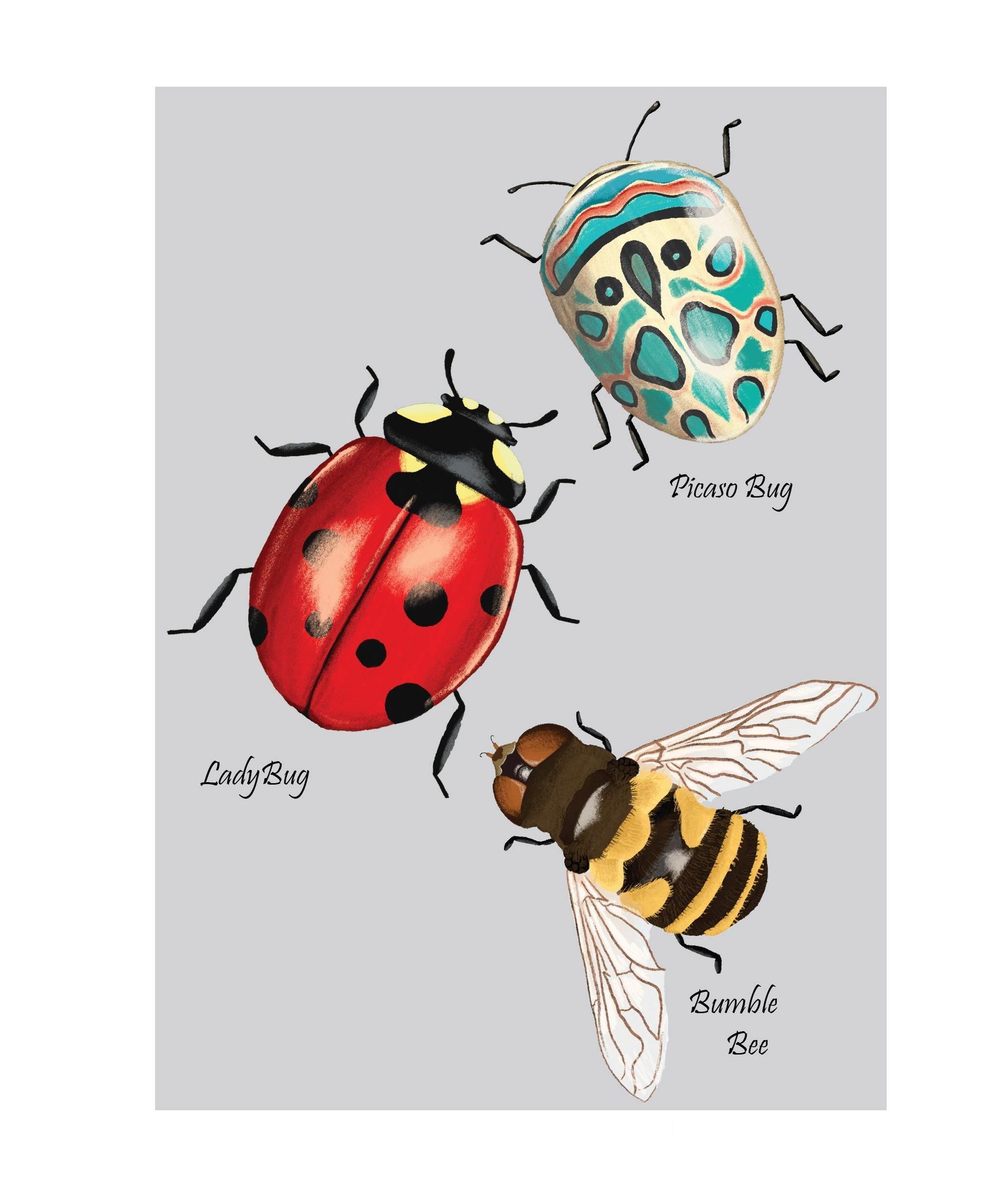 Colored Pencil Bugs - image 1 - student project