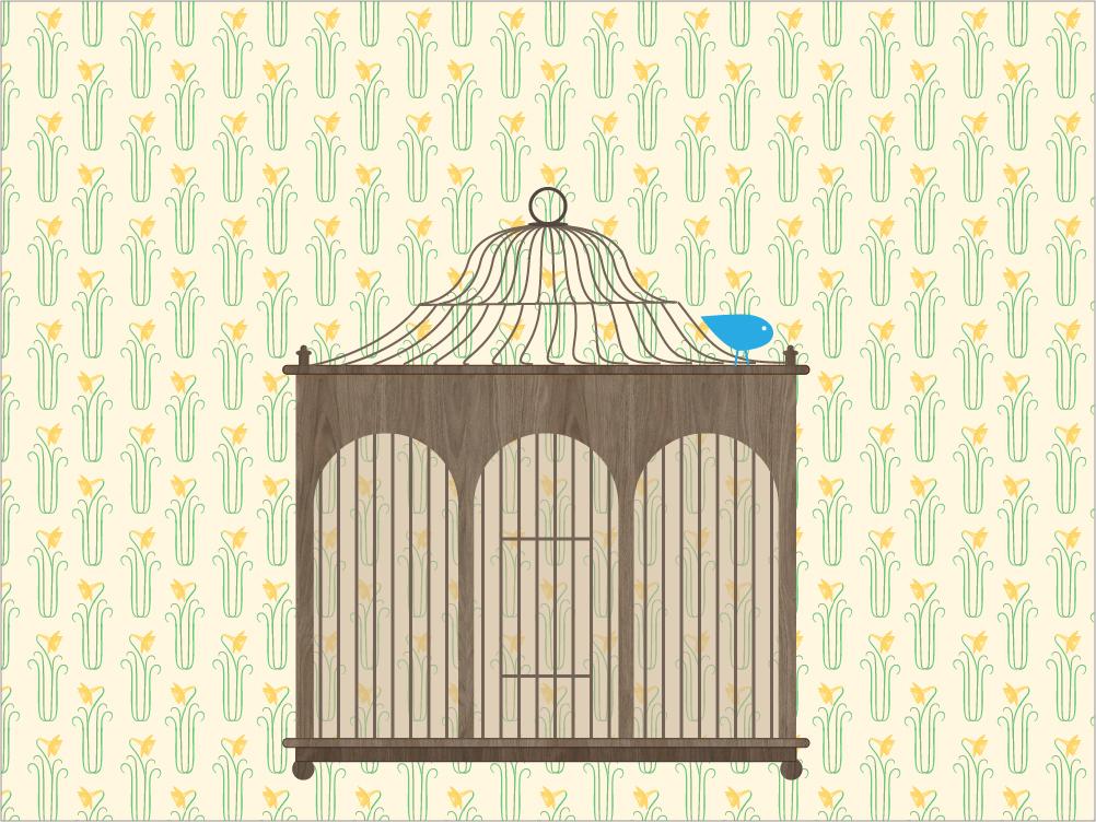 CAGE BY FATIMA - image 1 - student project