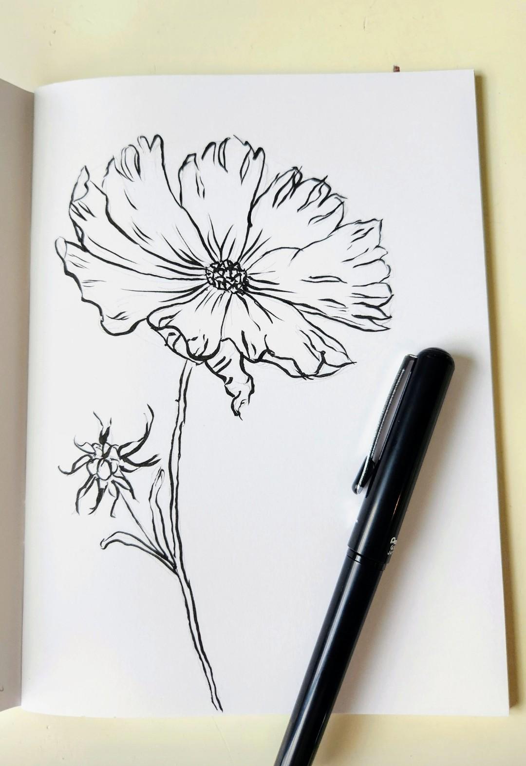 Loose watercolor flowers with graphite - image 1 - student project