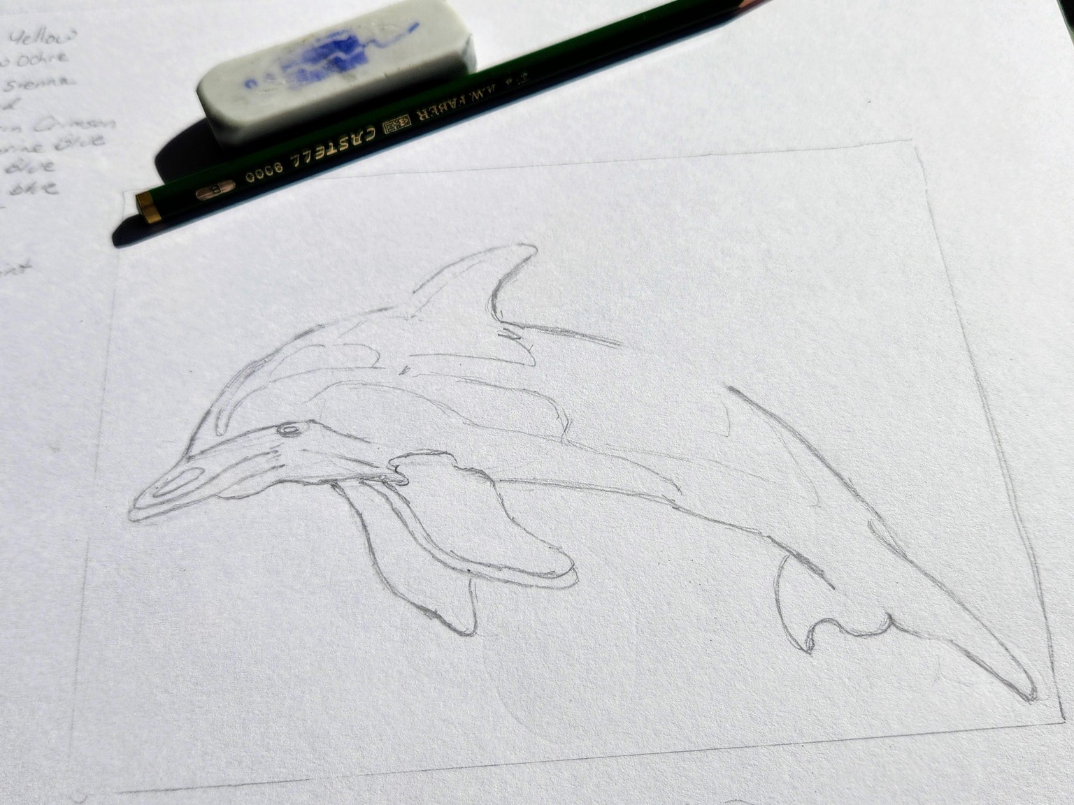 Dolphins are everyone's spirit animal - image 2 - student project