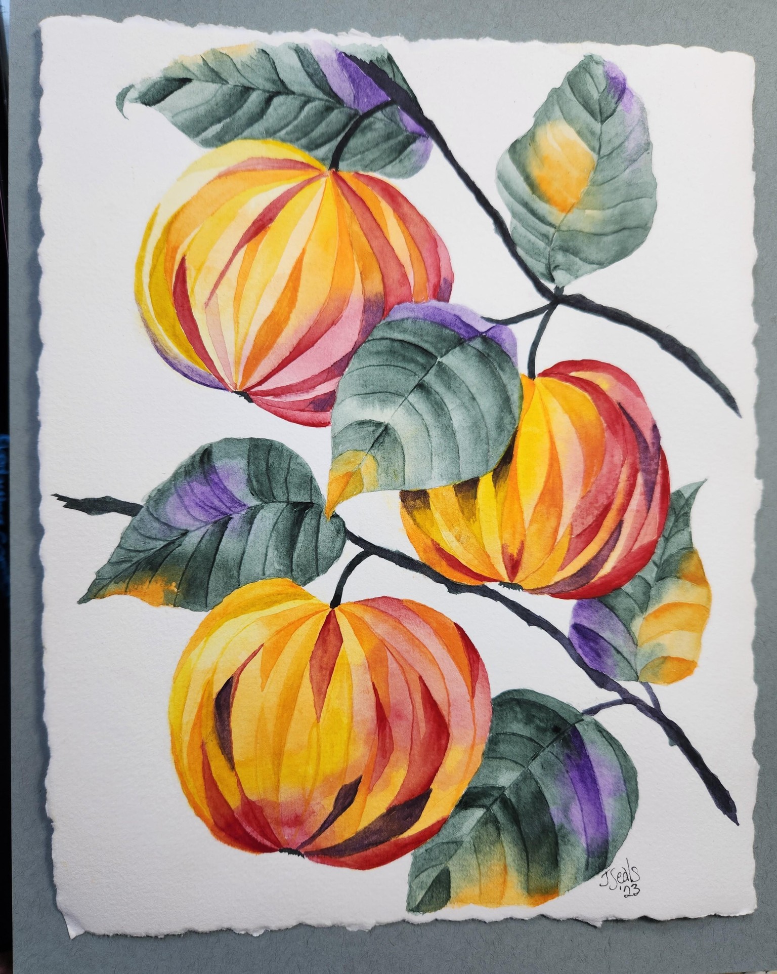 The Apple of My Eye - image 1 - student project