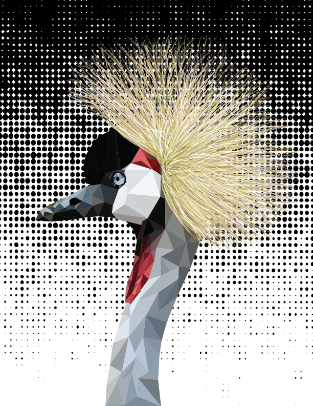 Gray Crowned Crane Low Poly Vector - image 1 - student project