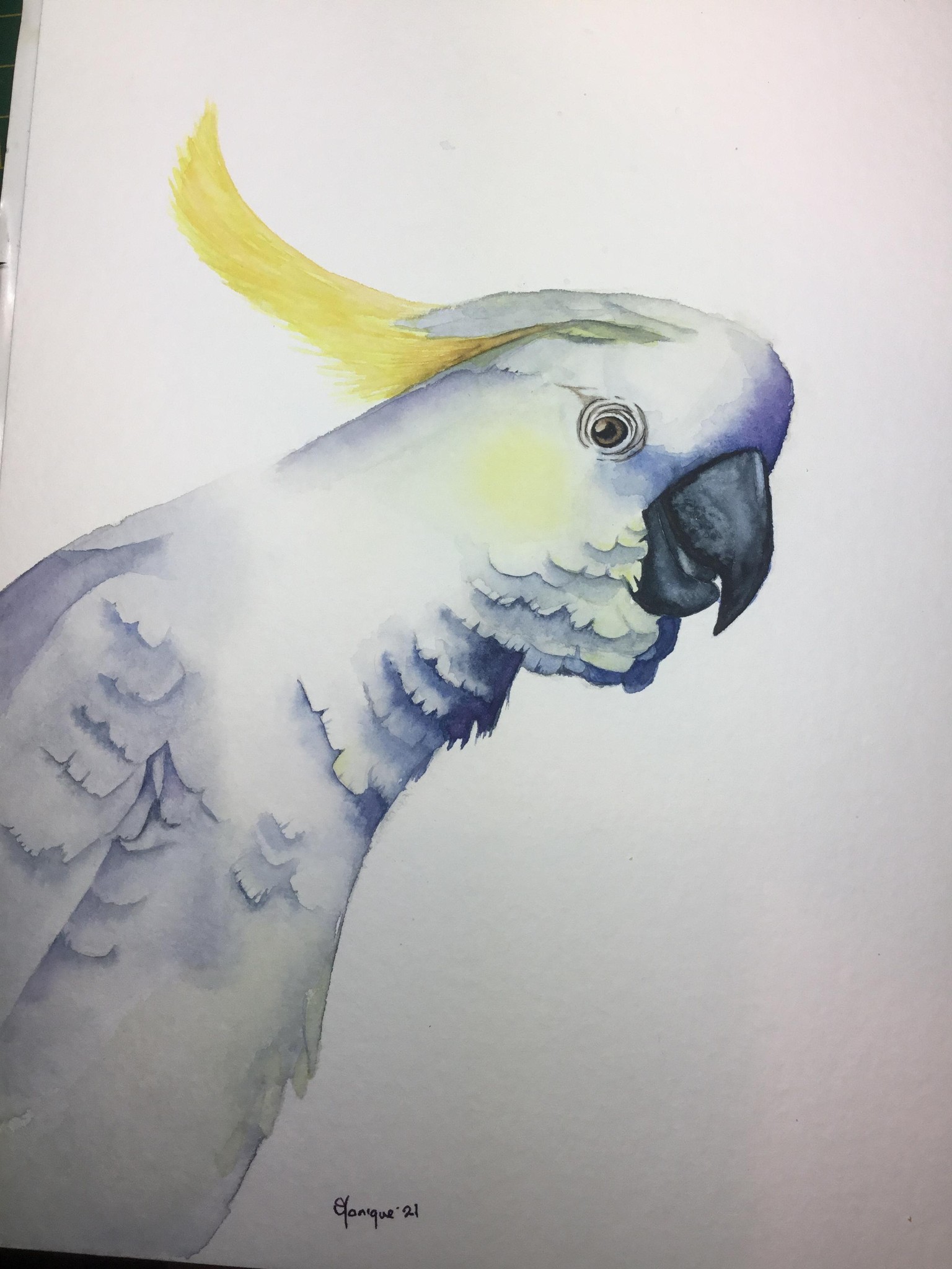 Cheeky bird - image 1 - student project
