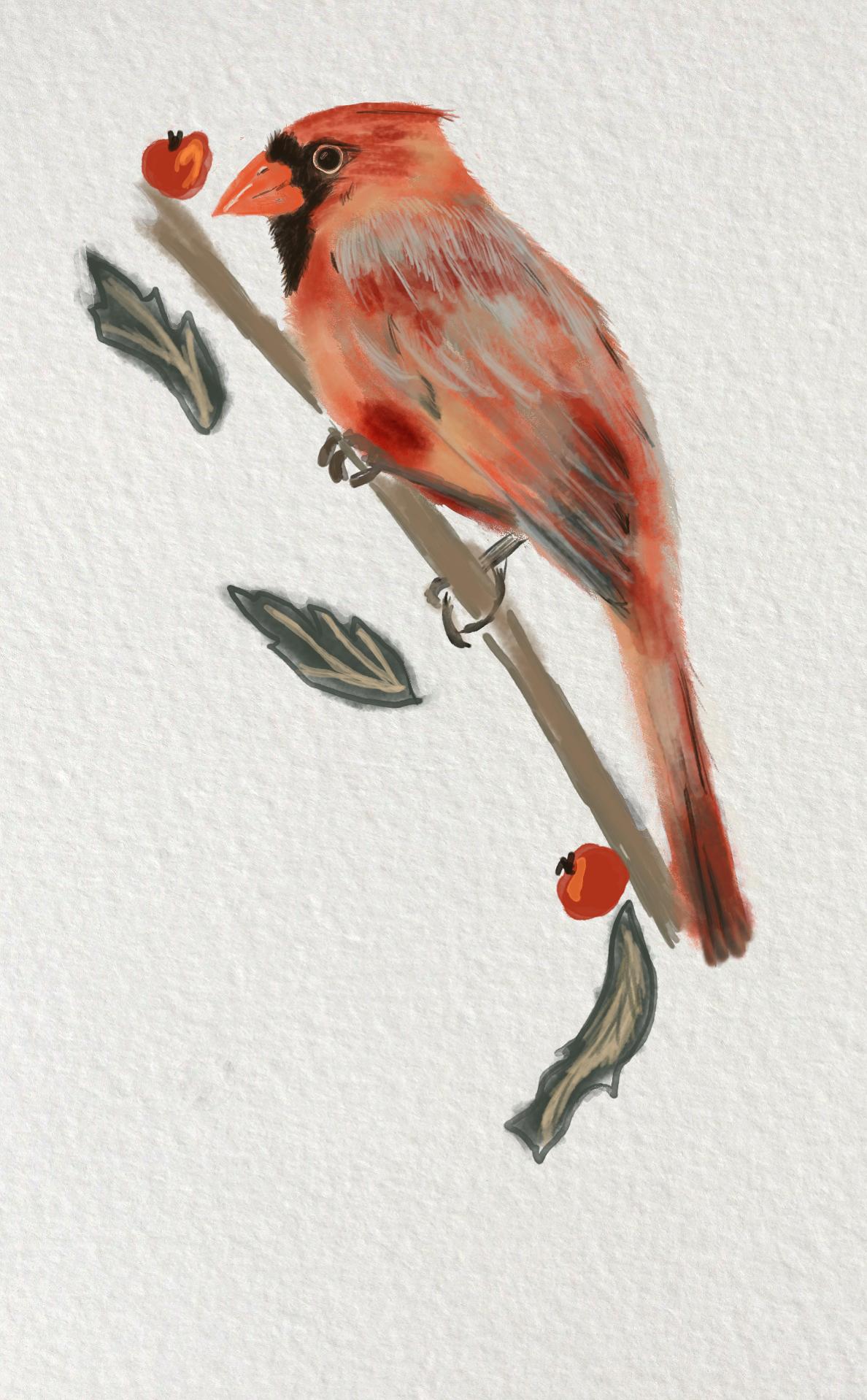 Lid Red Birdy - image 1 - student project