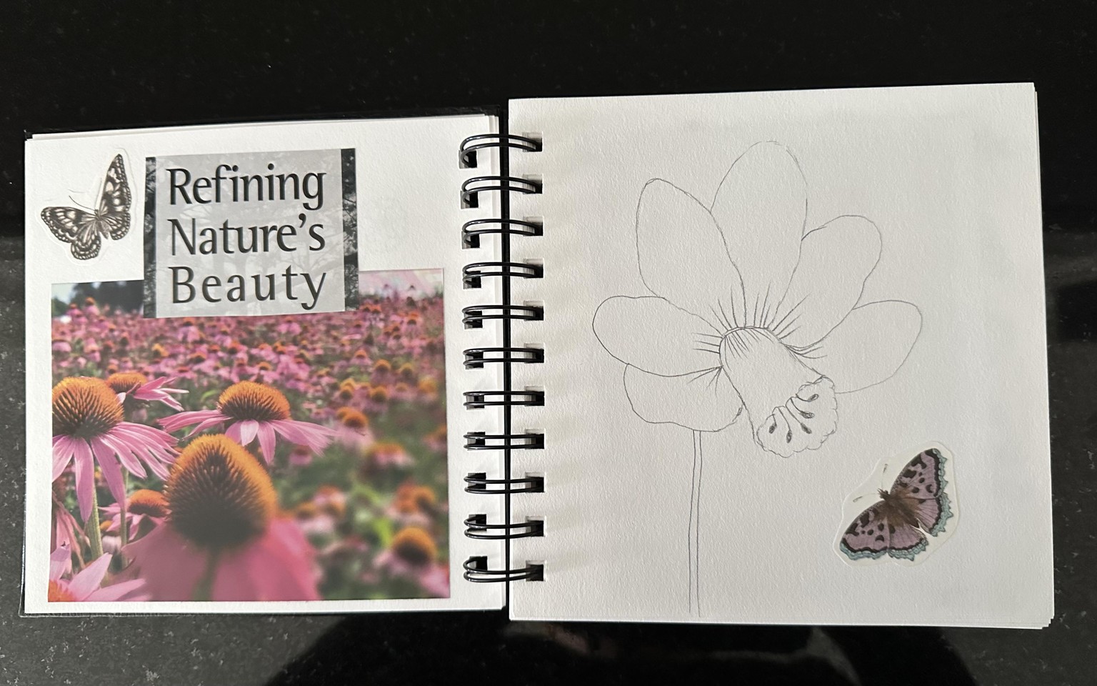 Sketchbook Practice - image 2 - student project