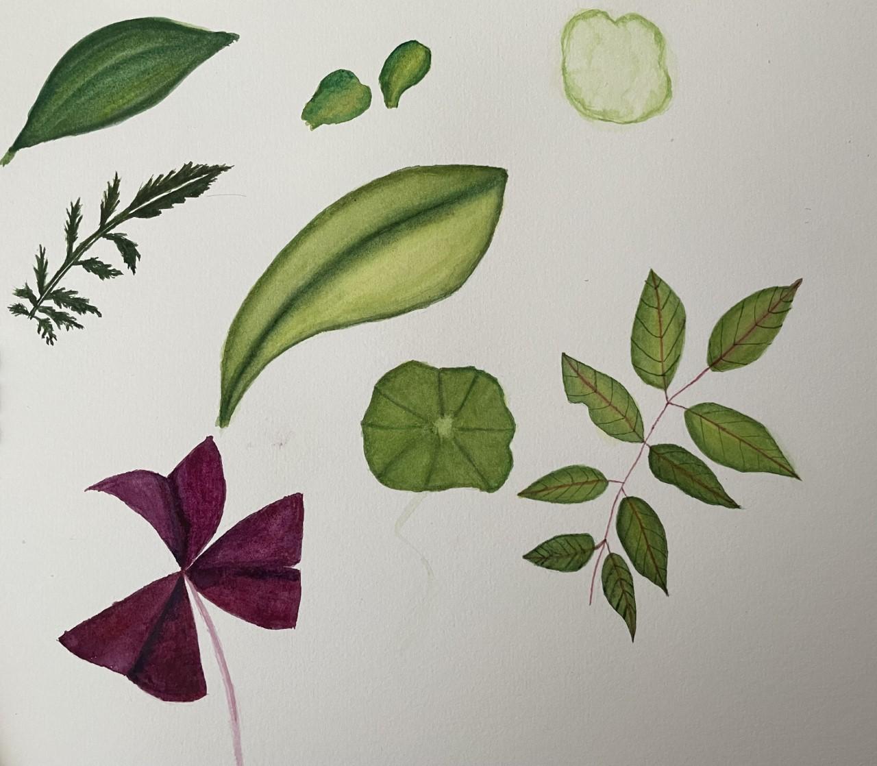 leaves - image 1 - student project