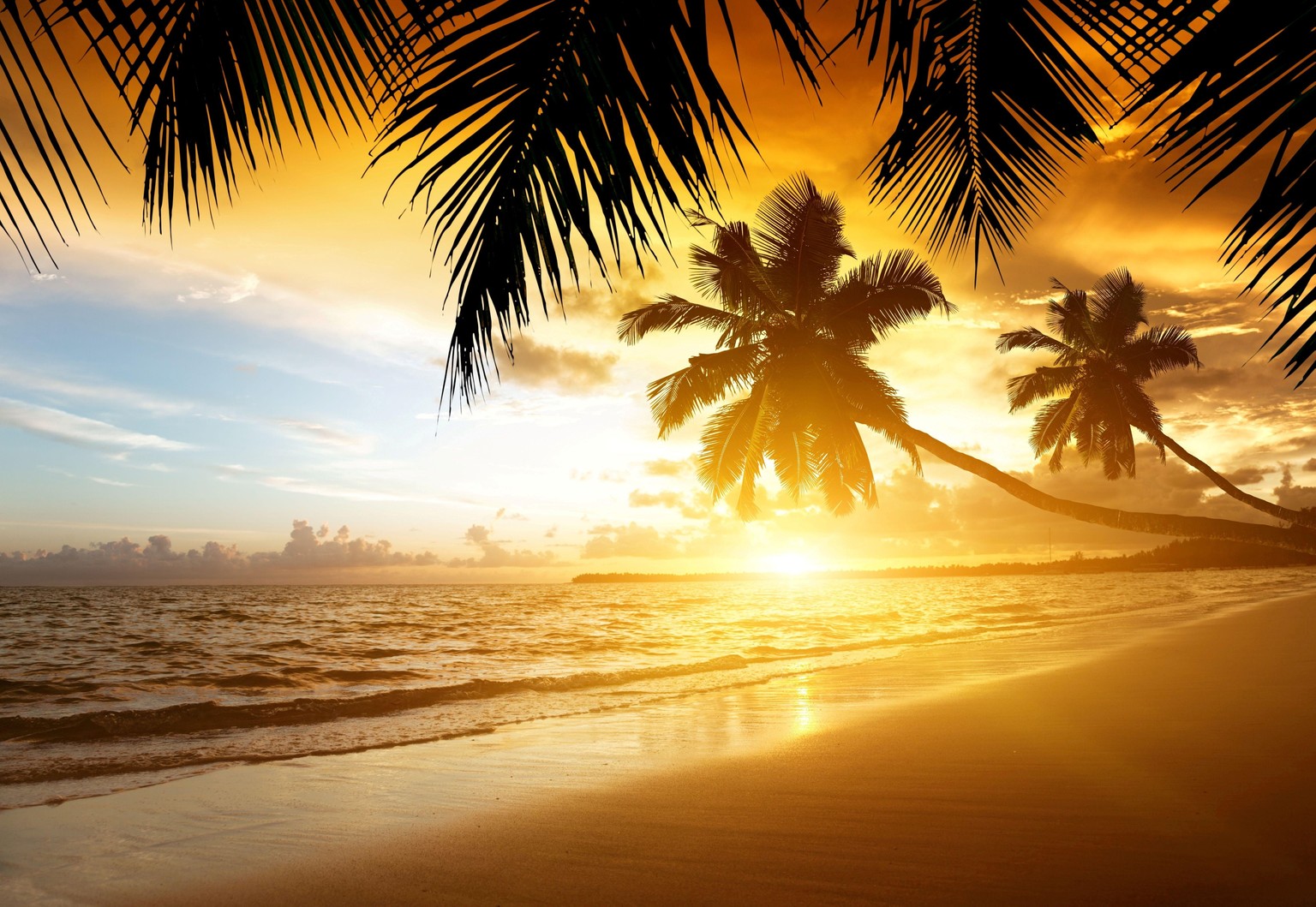 Les plus belles plages paradisiaques du monde - image 1 - student project