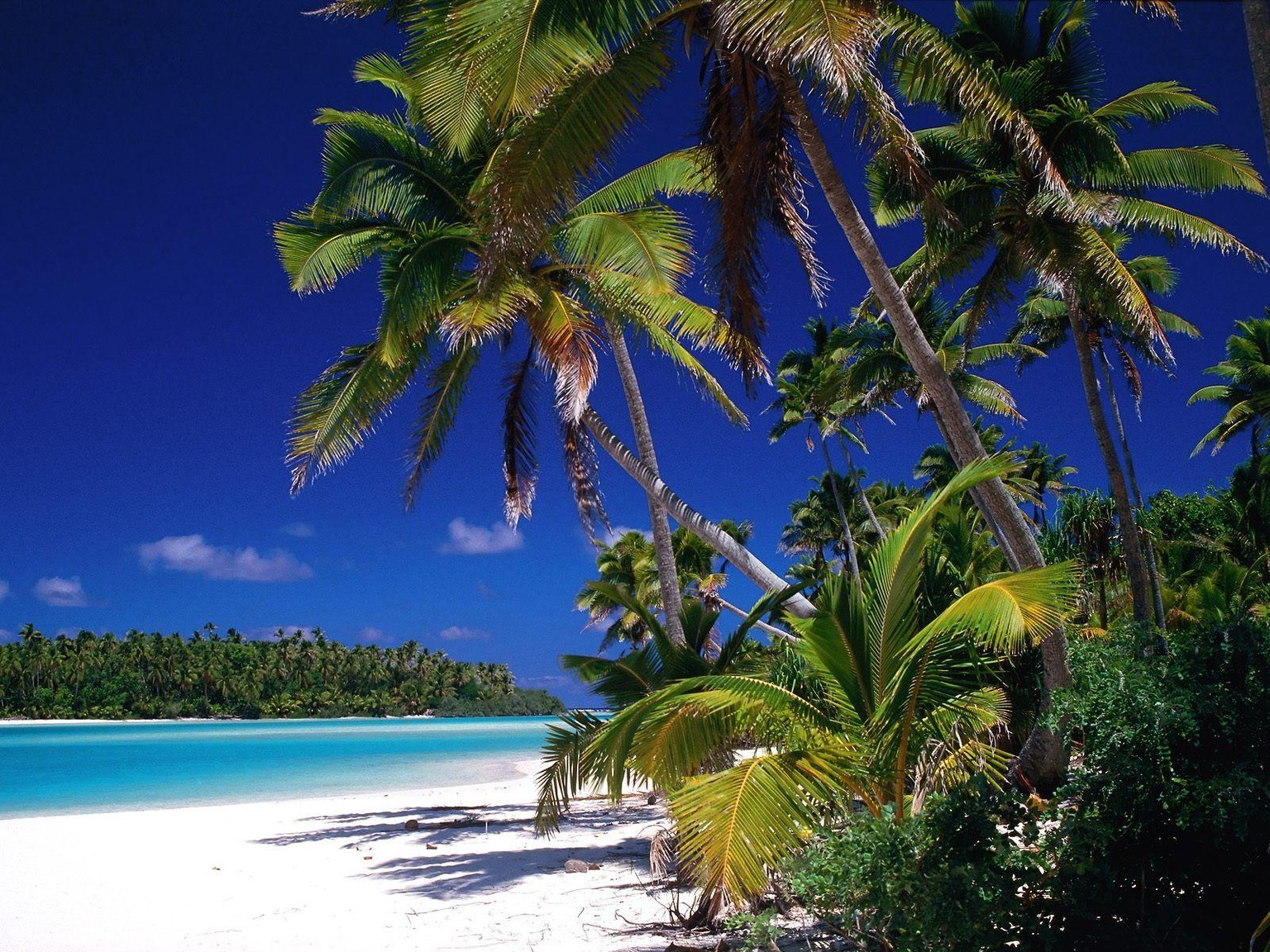 Les plus belles plages paradisiaques du monde - image 2 - student project