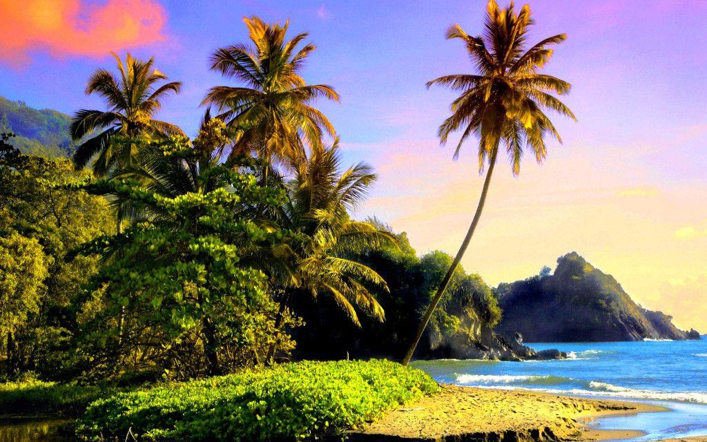 Les plus belles plages paradisiaques du monde - image 3 - student project