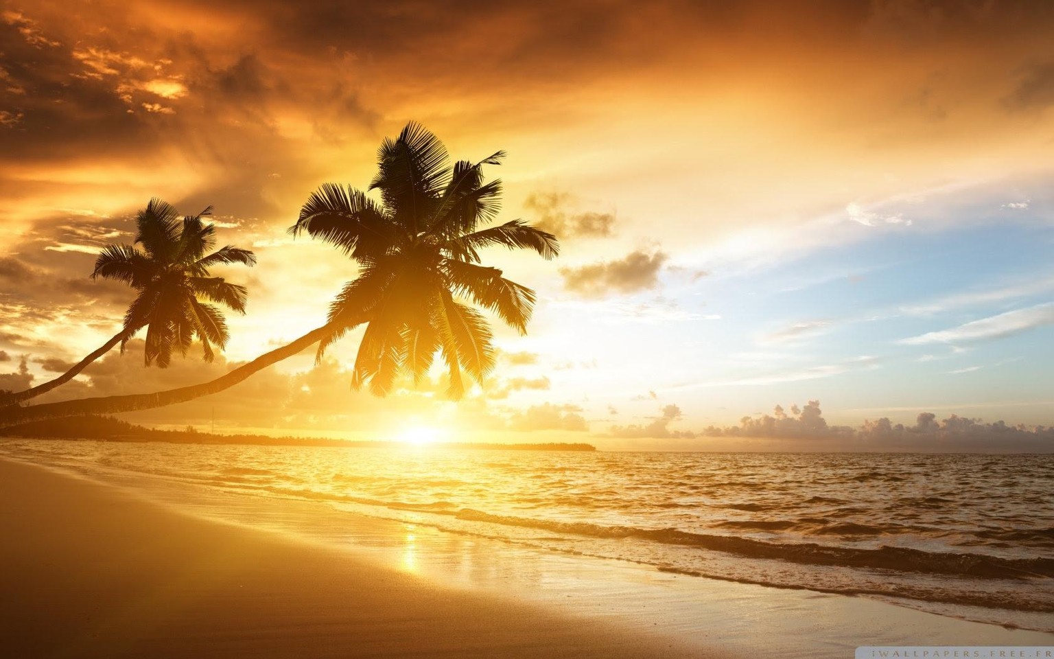 Les plus belles plages paradisiaques du monde - image 10 - student project