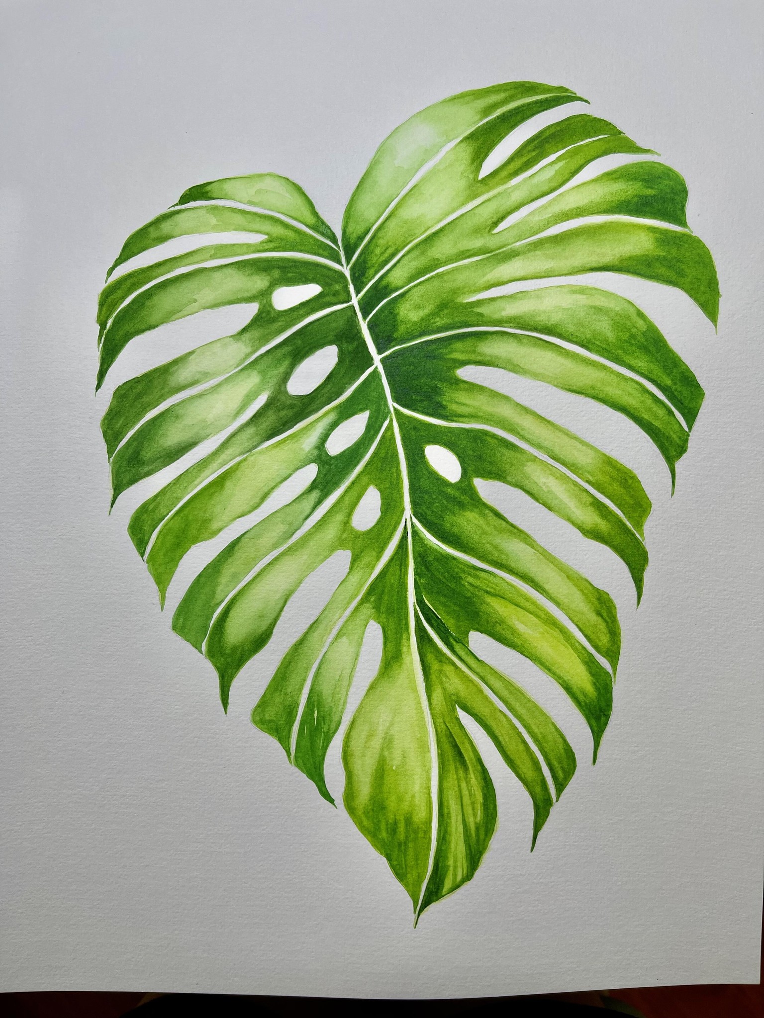 monstera project Malaysia - image 2 - student project
