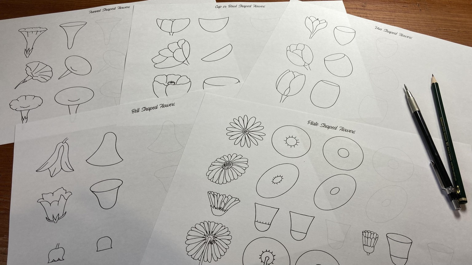 Drawing Flowers - image 1 - student project