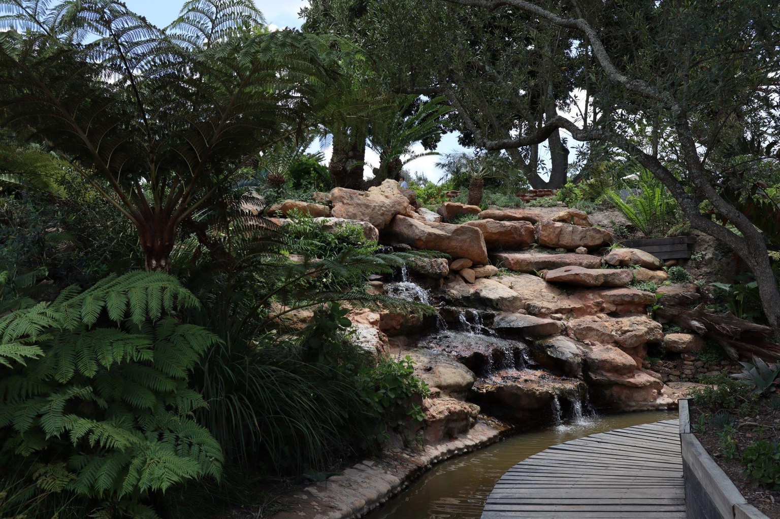 Moody Waterfall Surrounded by Plants - image 1 - student project