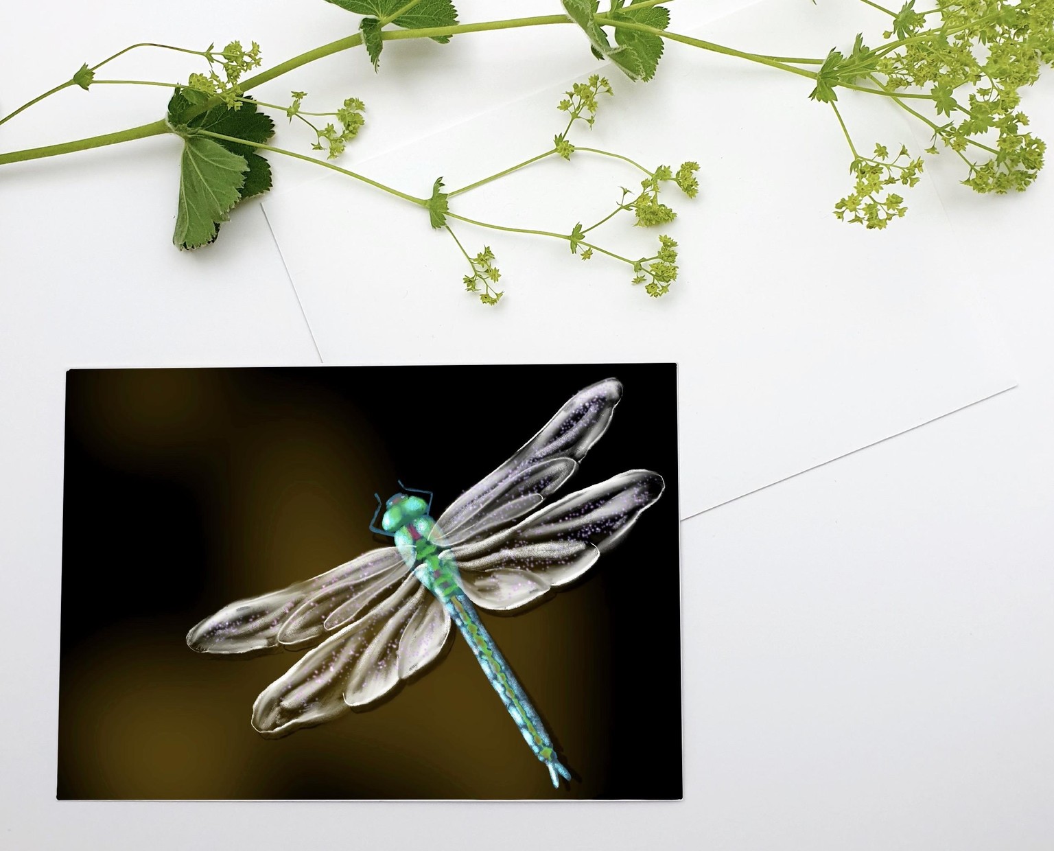 Dragonfly - image 1 - student project
