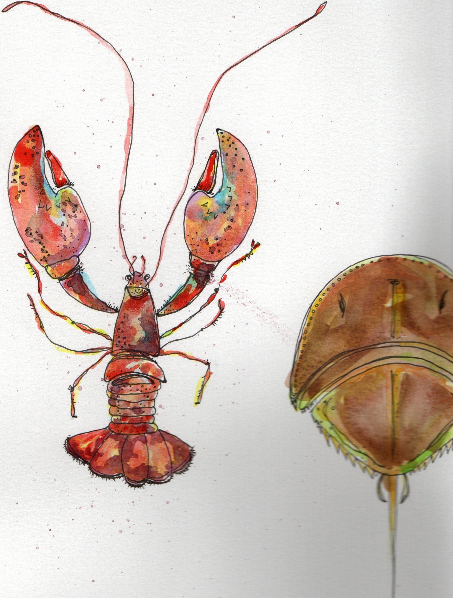 Lobsta Watercolor - image 1 - student project