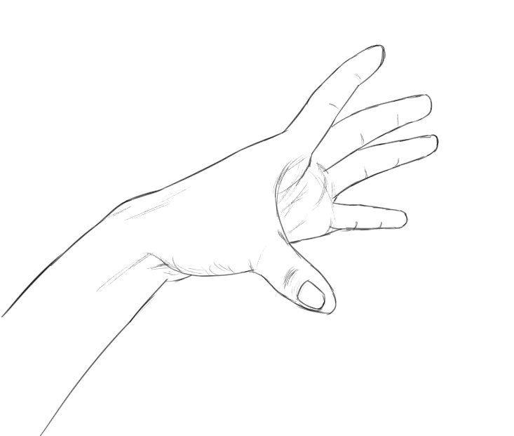 Lessons 1-5 Progress - image 10 - student project