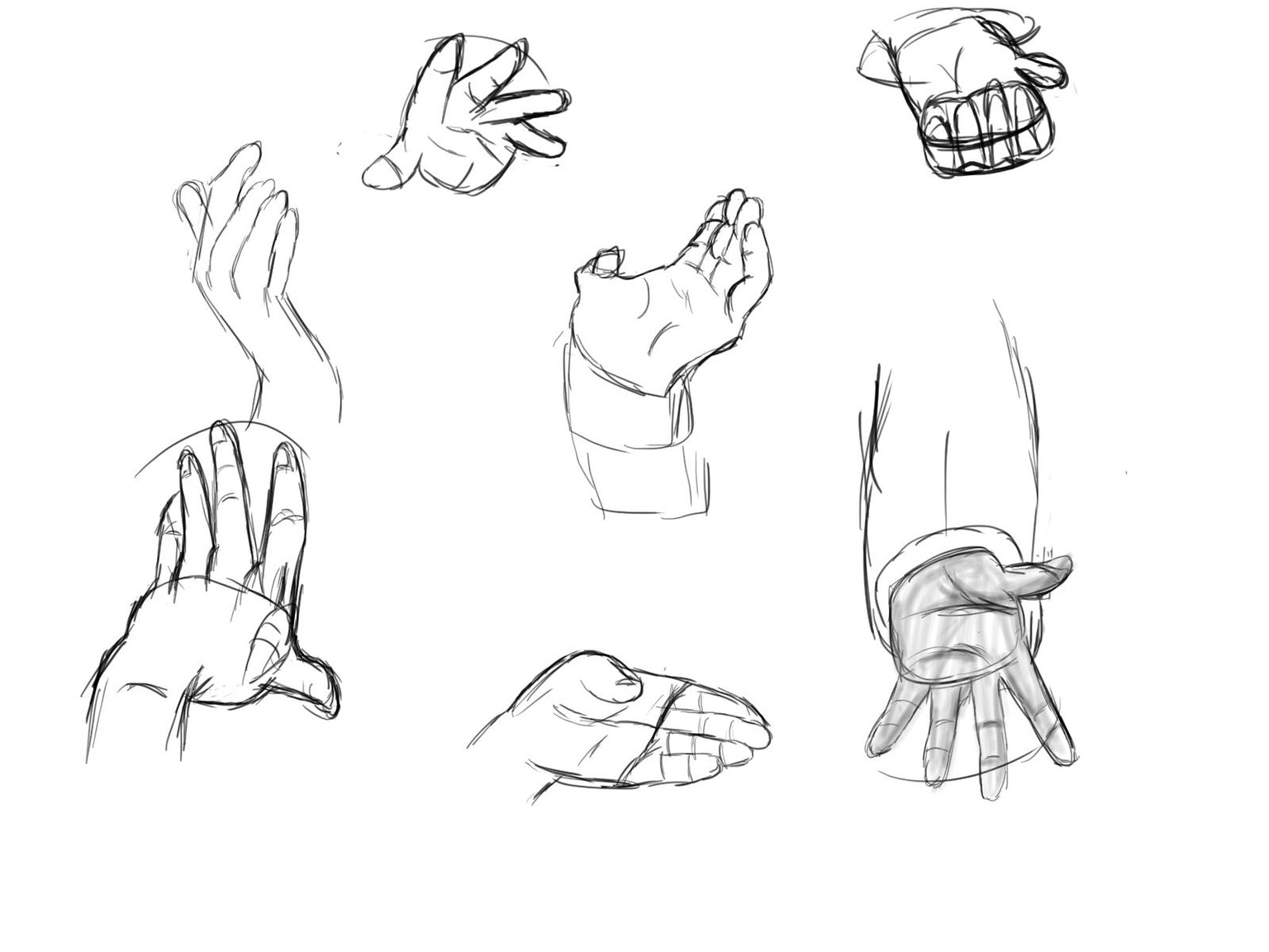 Lessons 1-5 Progress - image 2 - student project