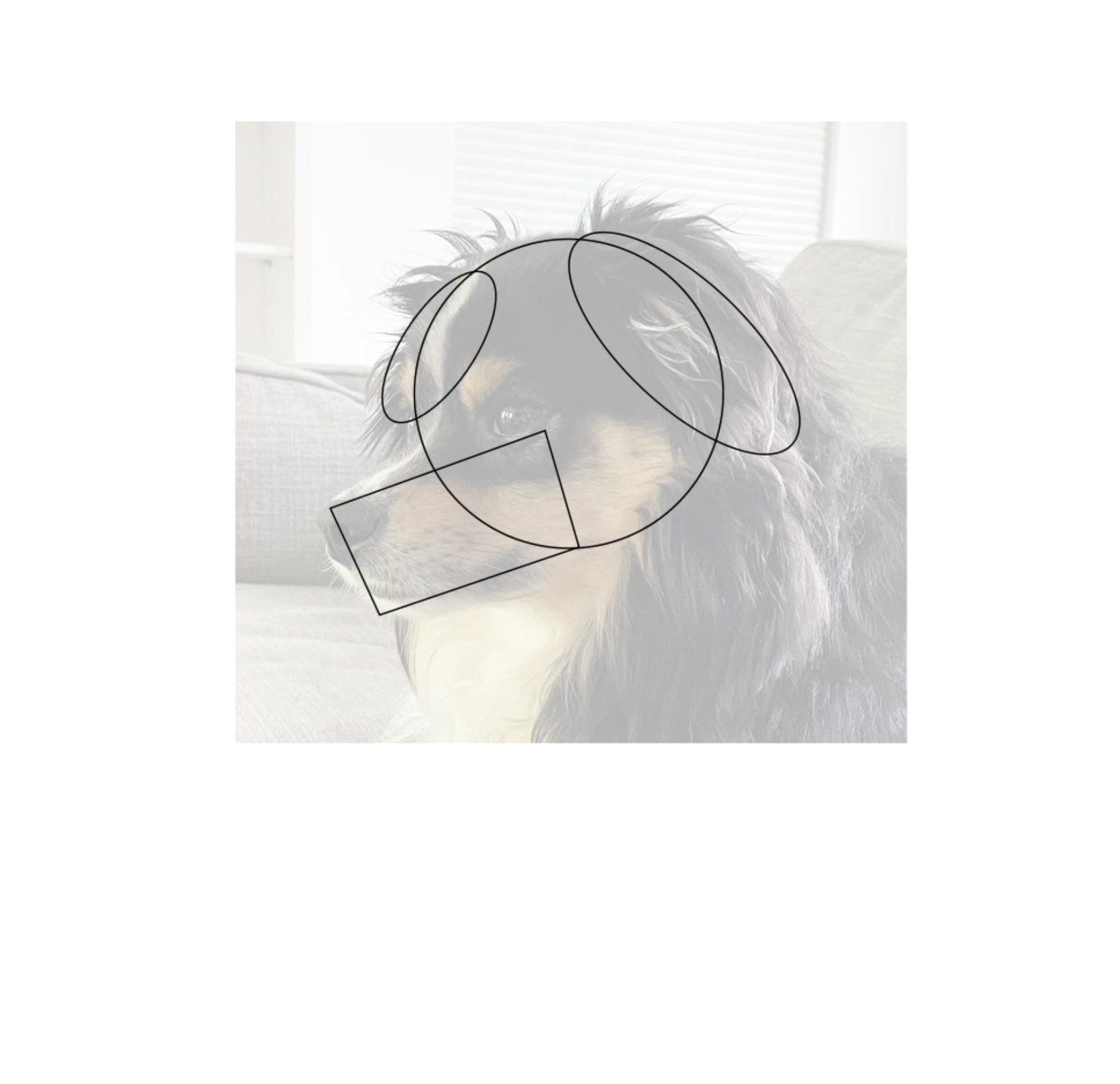 Bandit: A Tiny Gentleman - image 1 - student project
