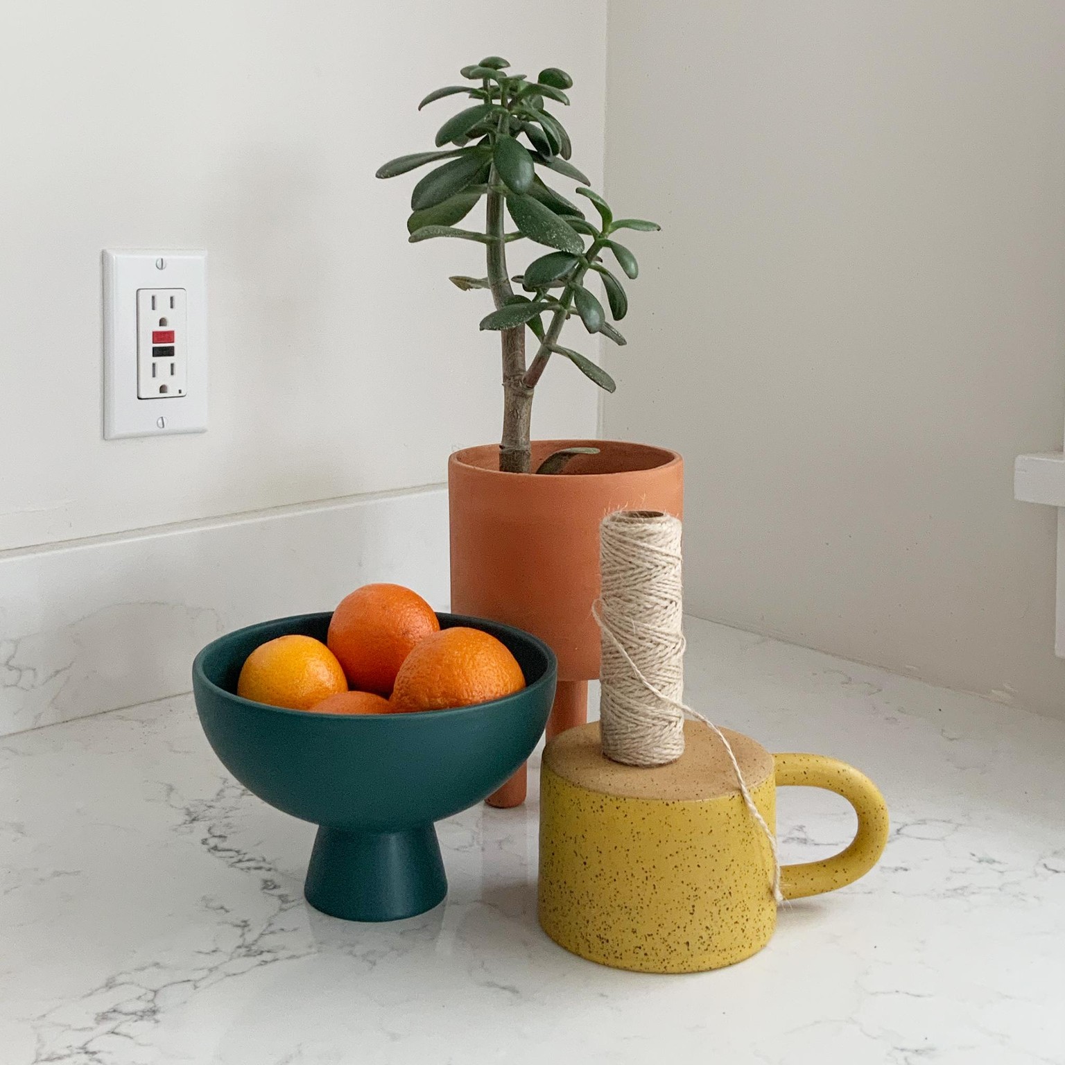 Oranges + Plants: A Graphic Still Life Illustration - image 2 - student project