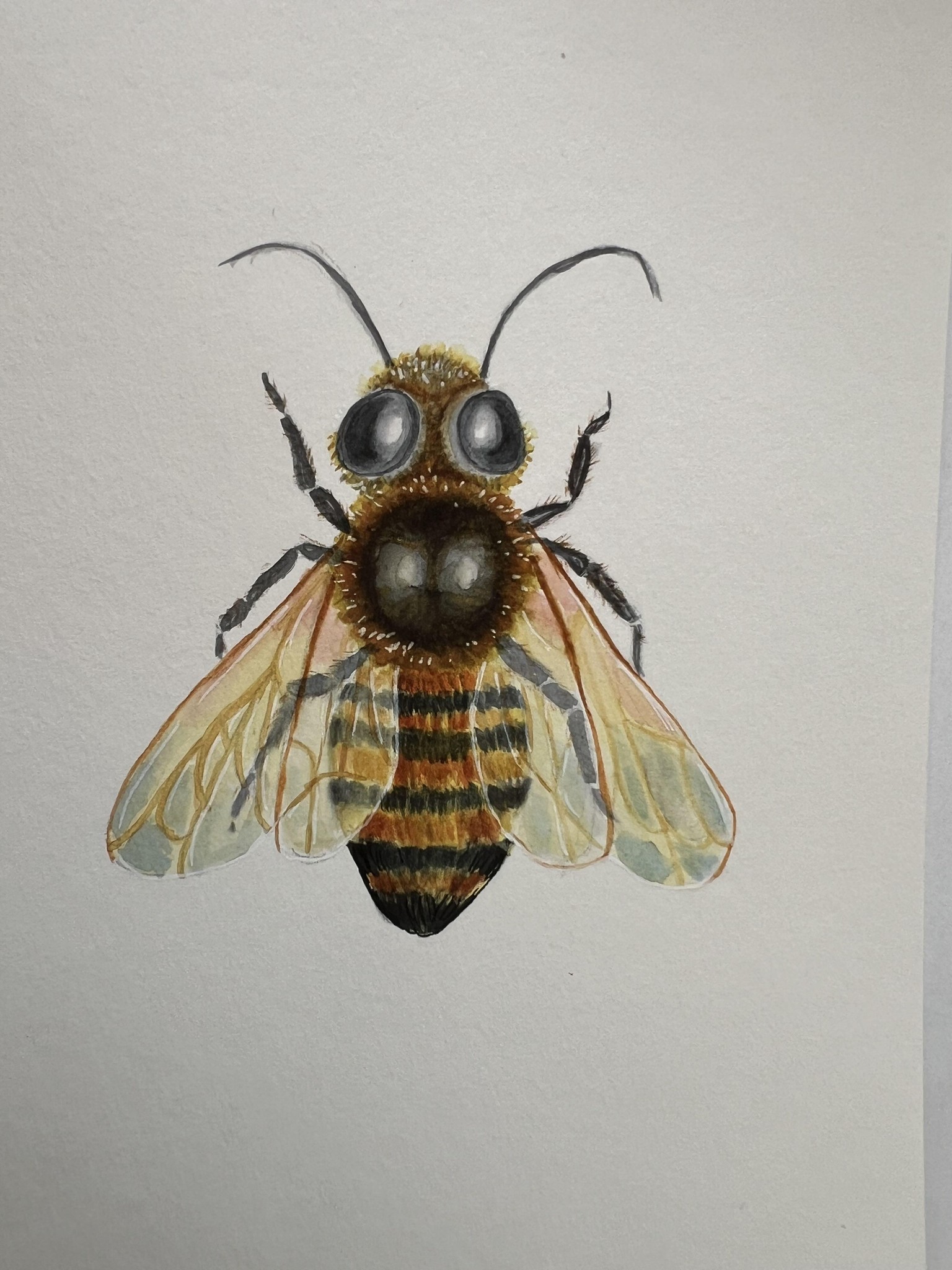 Bee - image 1 - student project