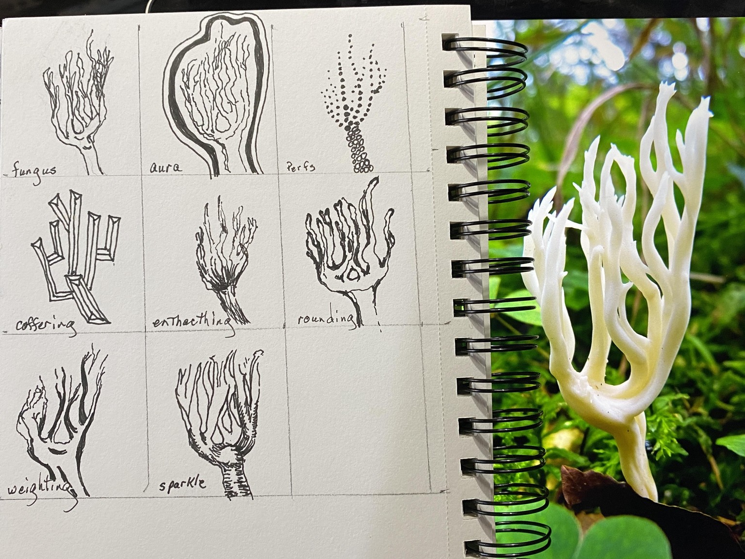 My tangles composition - image 8 - student project