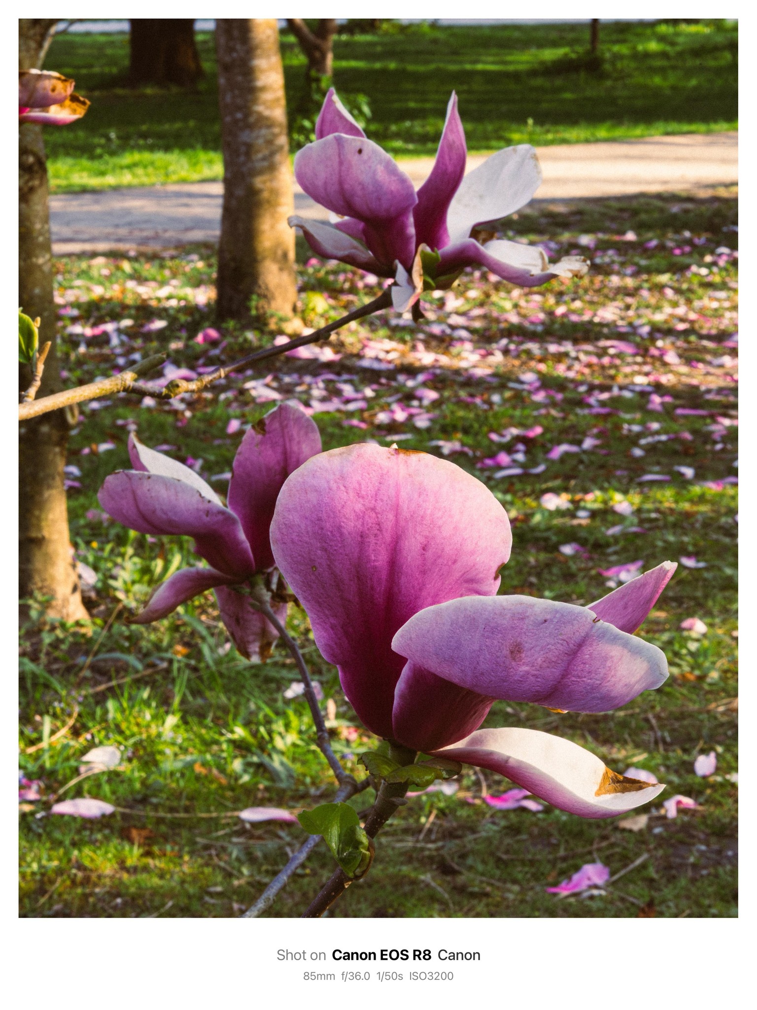 Aperture & Shutter Speed Exercises - image 3 - student project