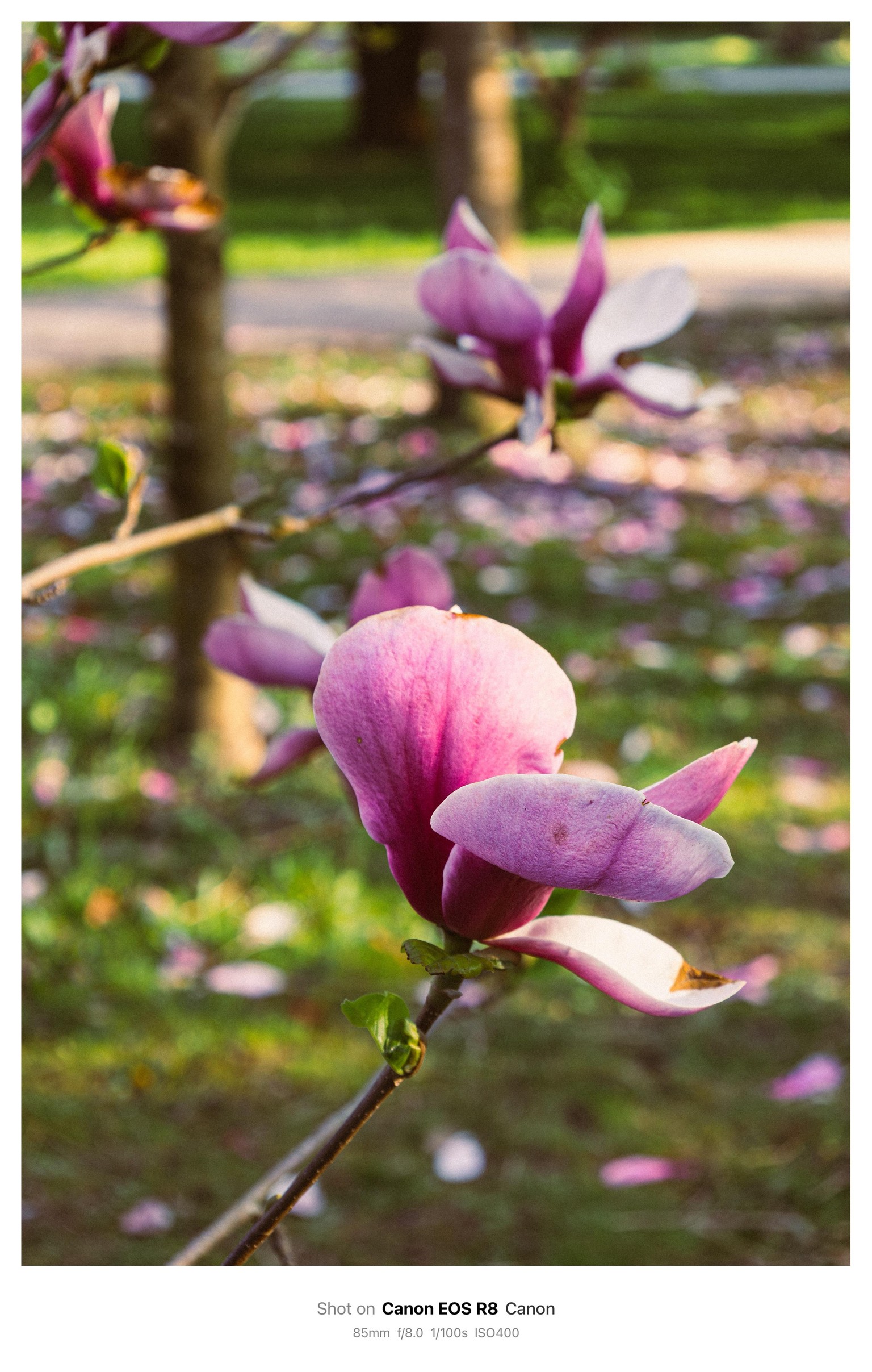 Aperture & Shutter Speed Exercises - image 4 - student project