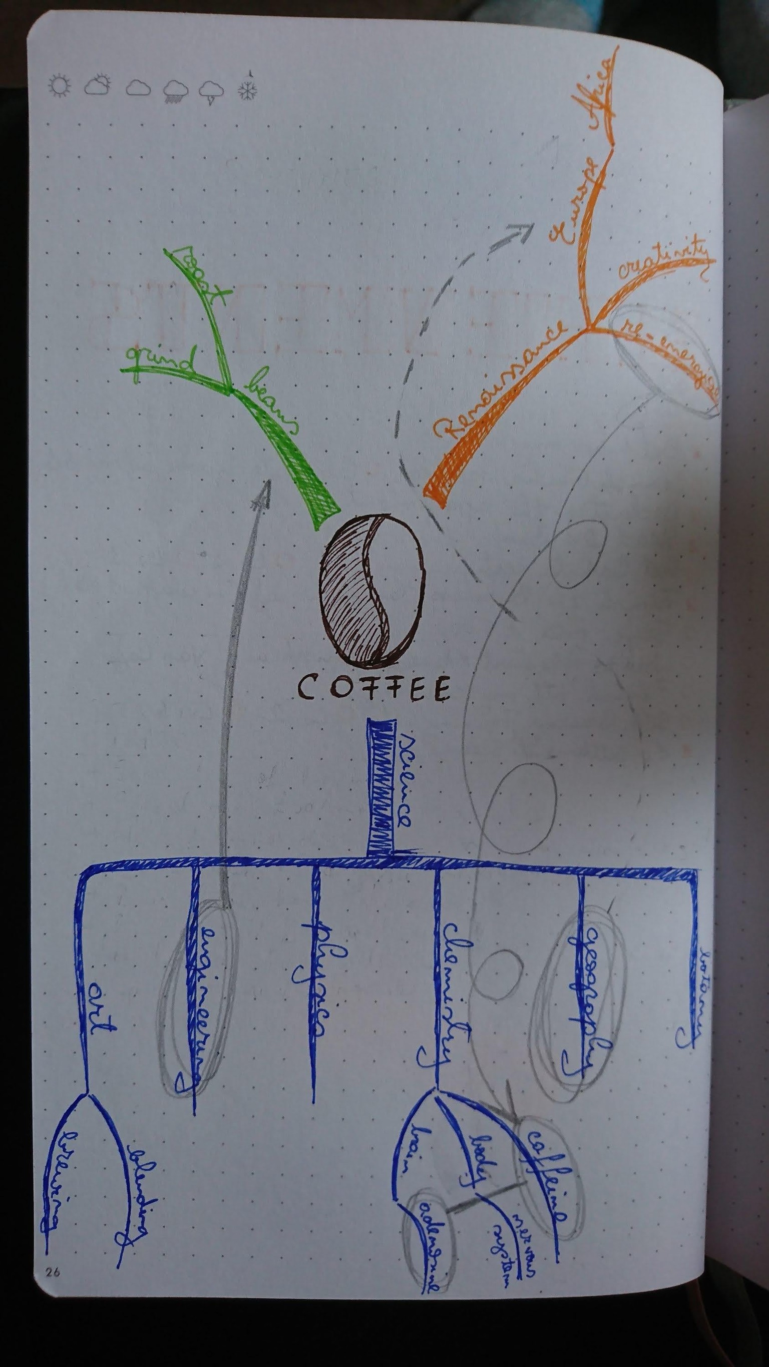Mind Map about Coffee - image 1 - student project
