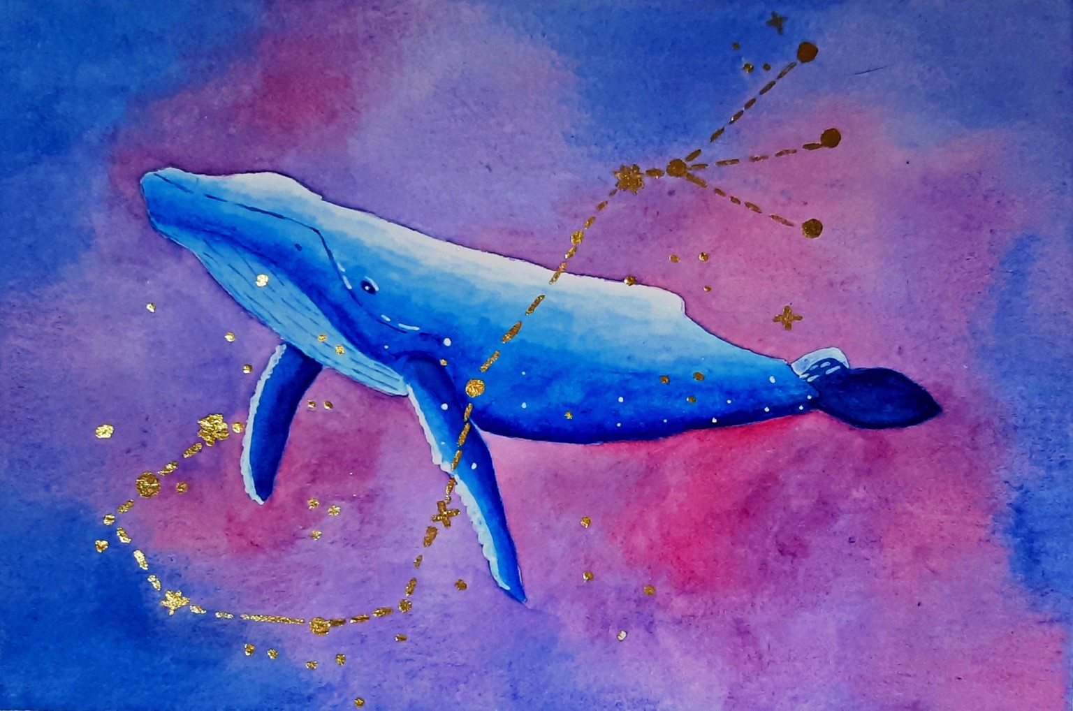 My whale - image 1 - student project