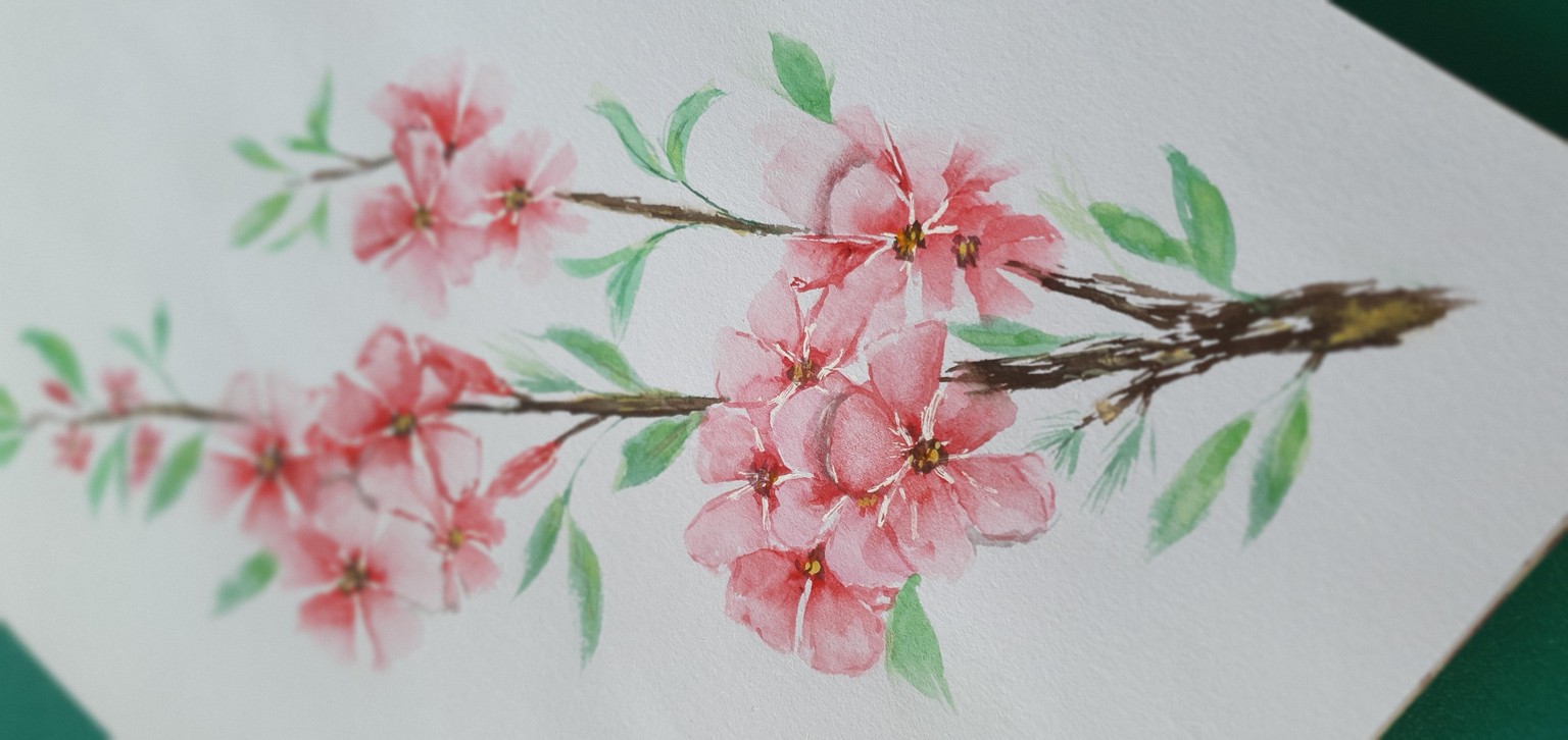 Cherry branch - image 1 - student project