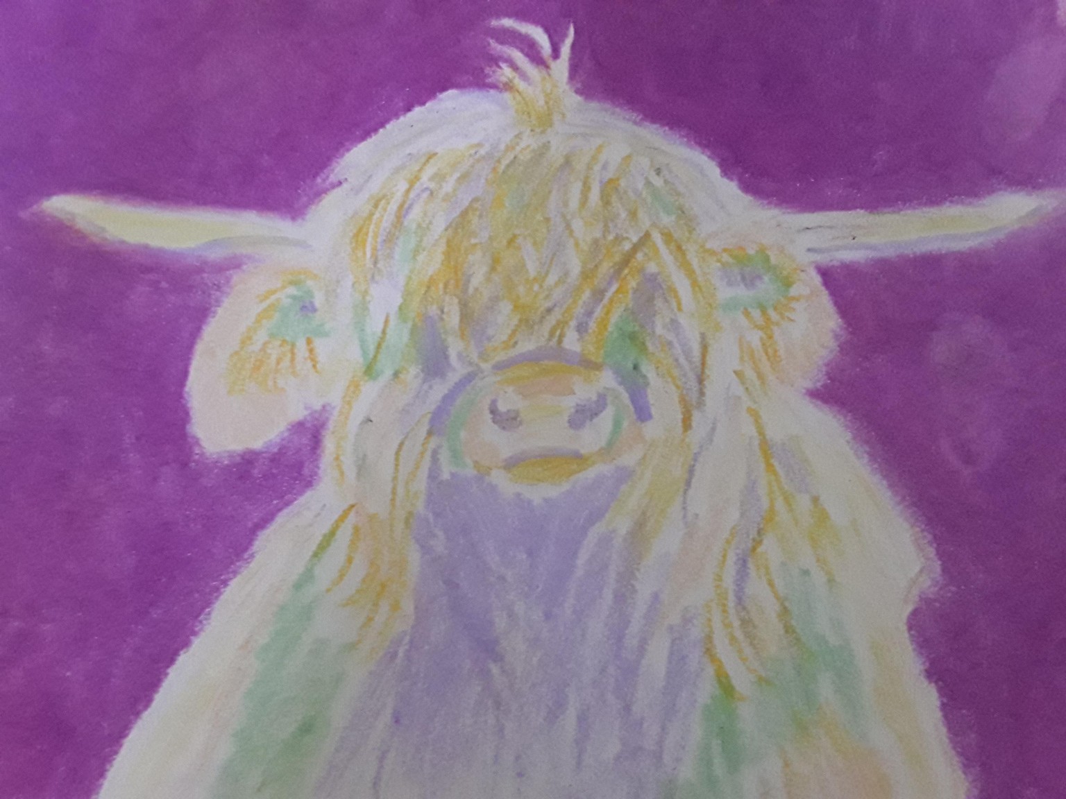 Highland cow - image 1 - student project
