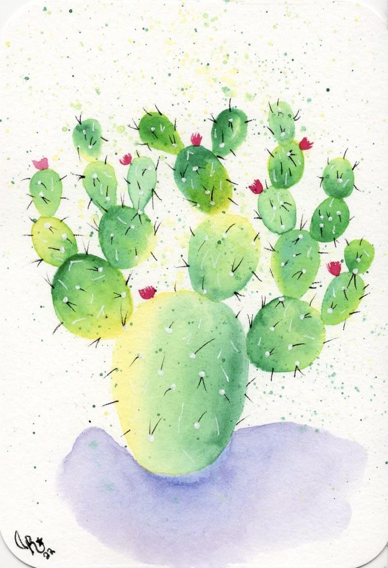 Cactus Fun! - image 2 - student project