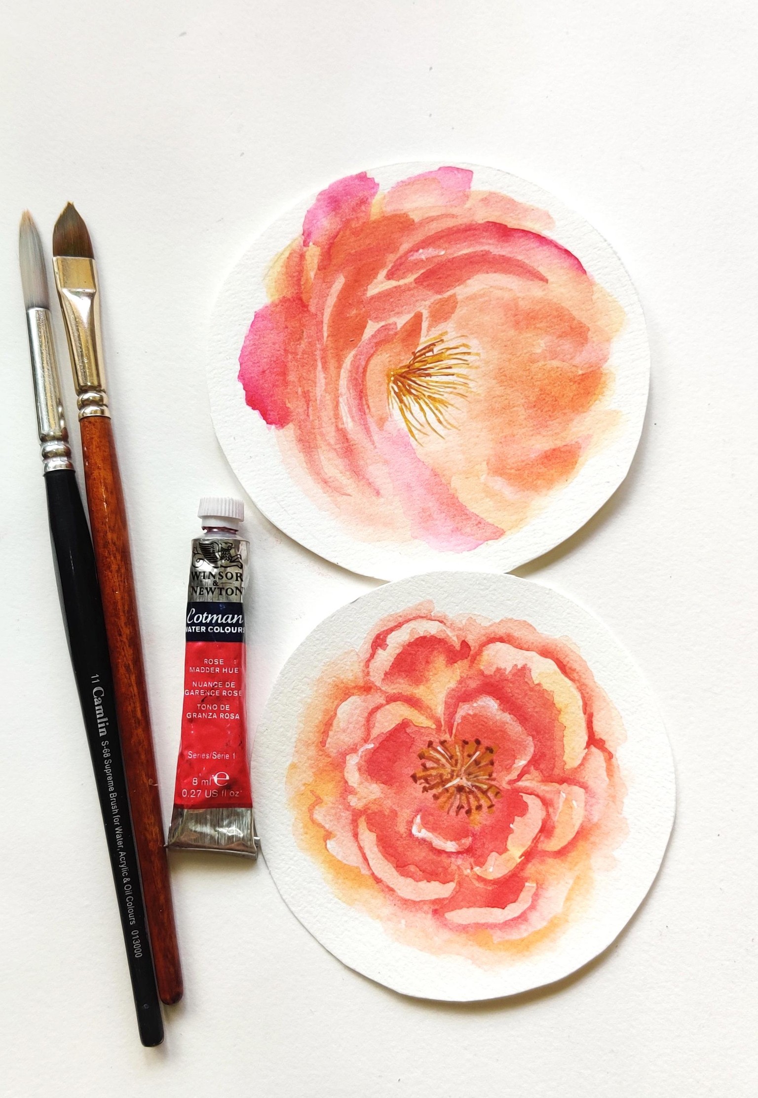 Loose Peonies in watercolor - image 1 - student project