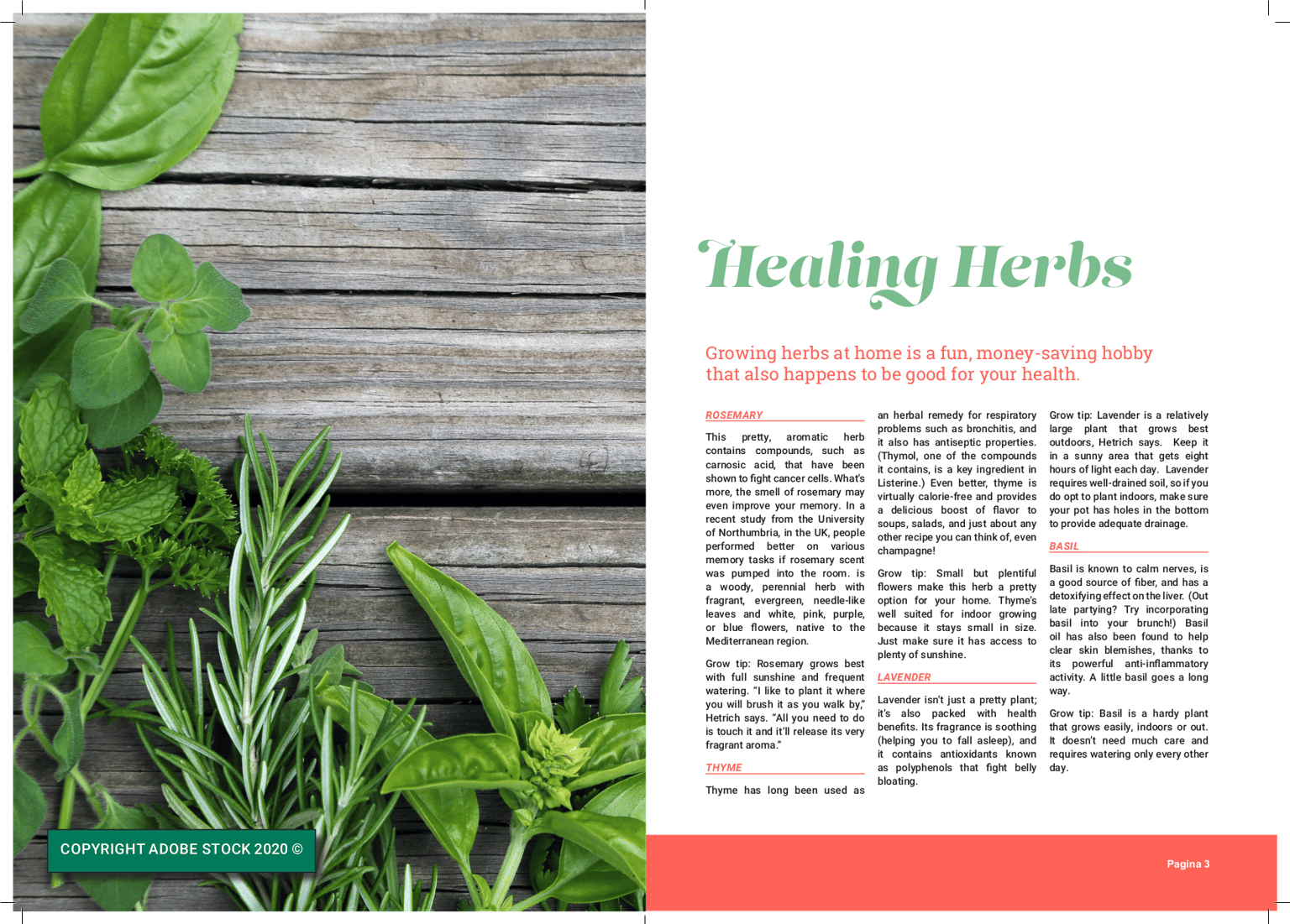 InDesign Class exercises - image 7 - student project
