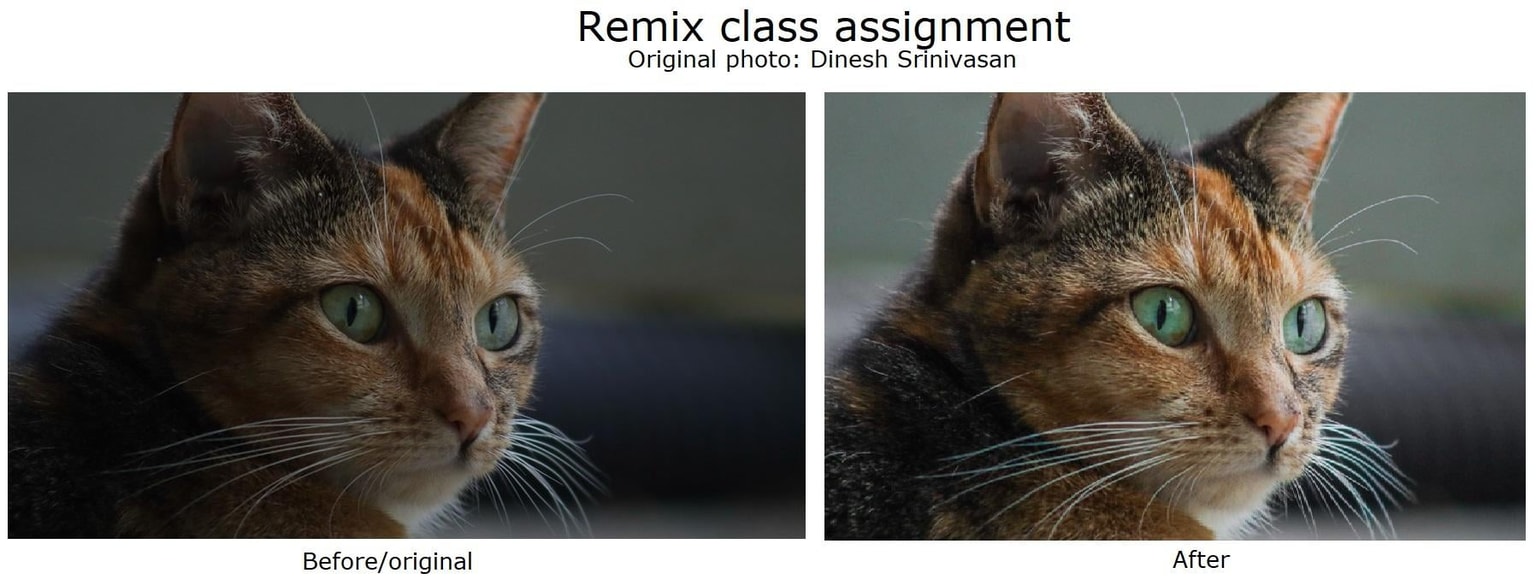 Jasper - image 4 - student project