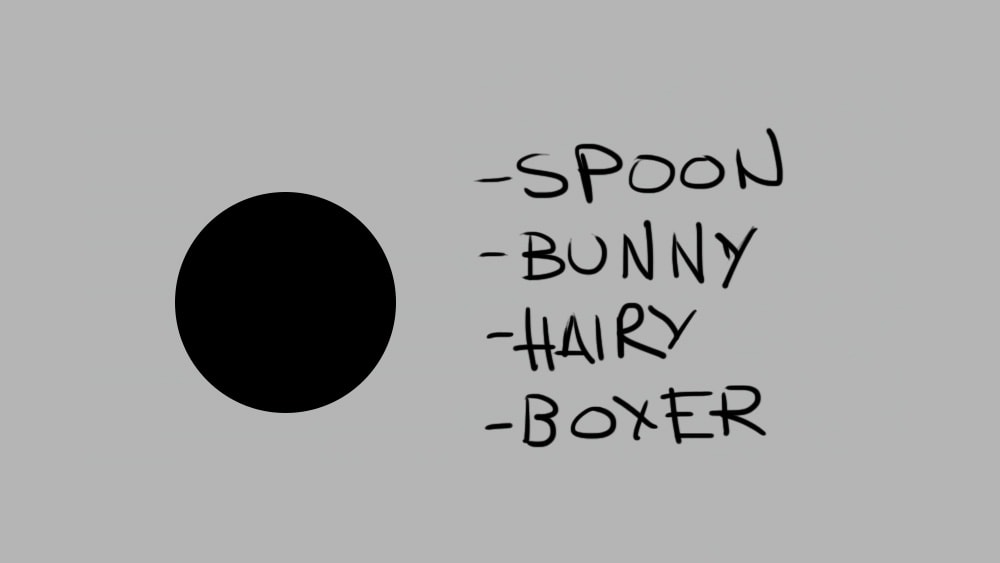 the Boxer - image 1 - student project