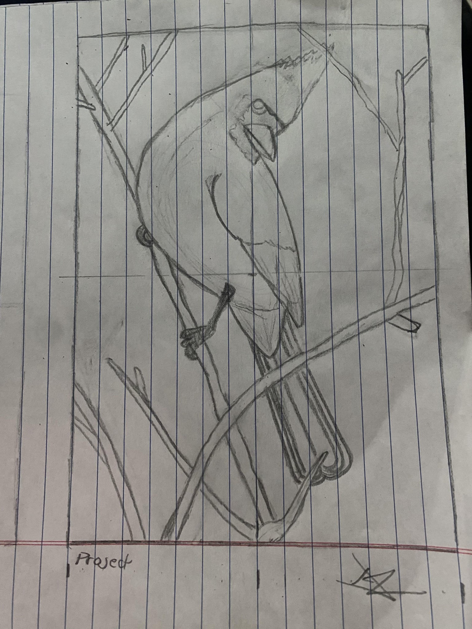 Cardinal With a side Eye - image 1 - student project