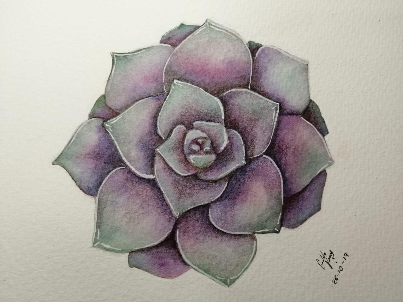 My Succulent - image 1 - student project