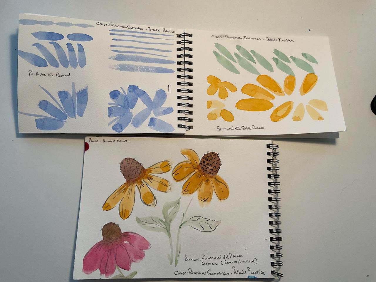 Coneflowers - image 1 - student project