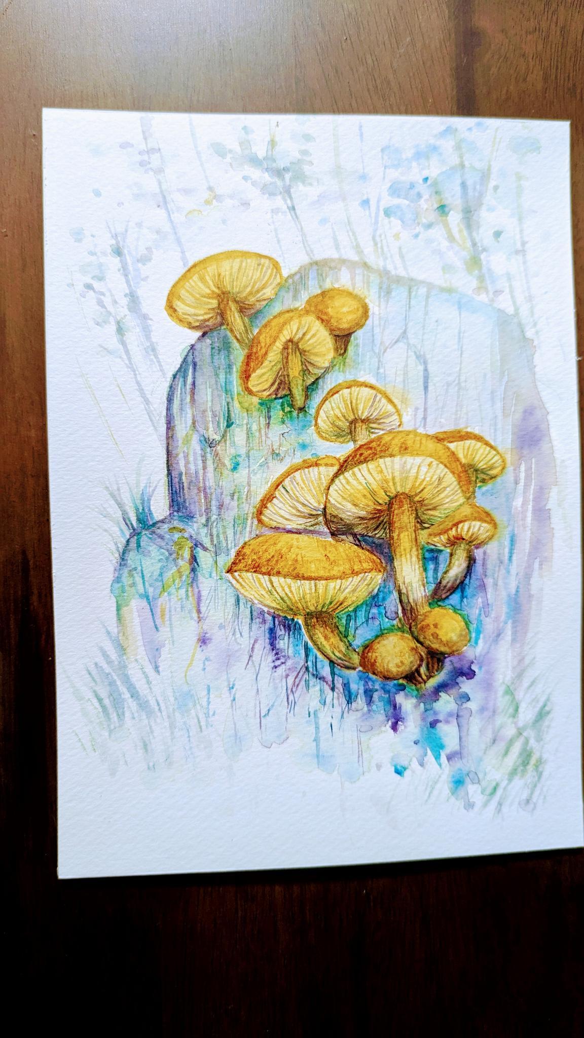 Mushrooms with mixed media - image 1 - student project