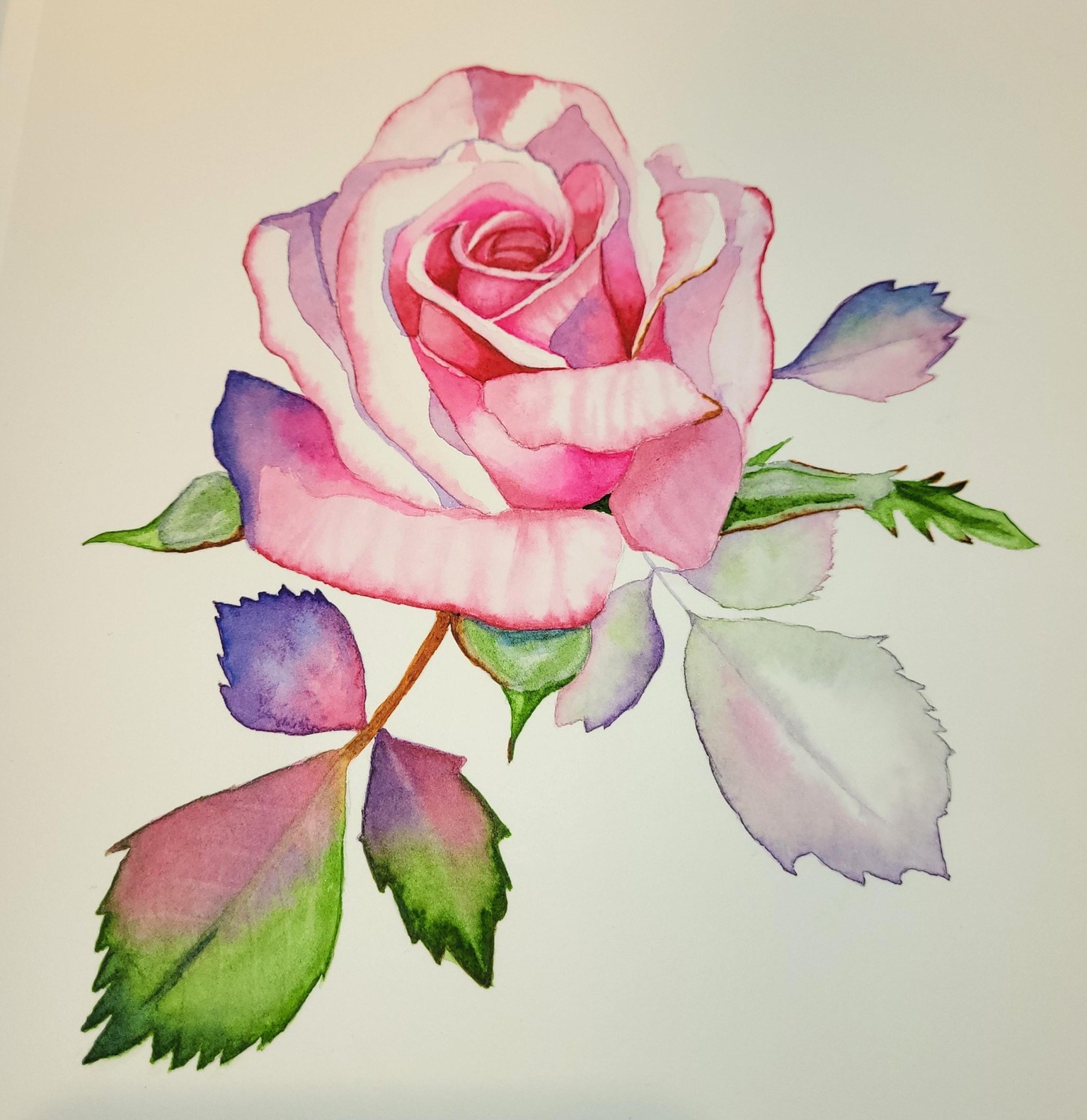 rose - image 1 - student project
