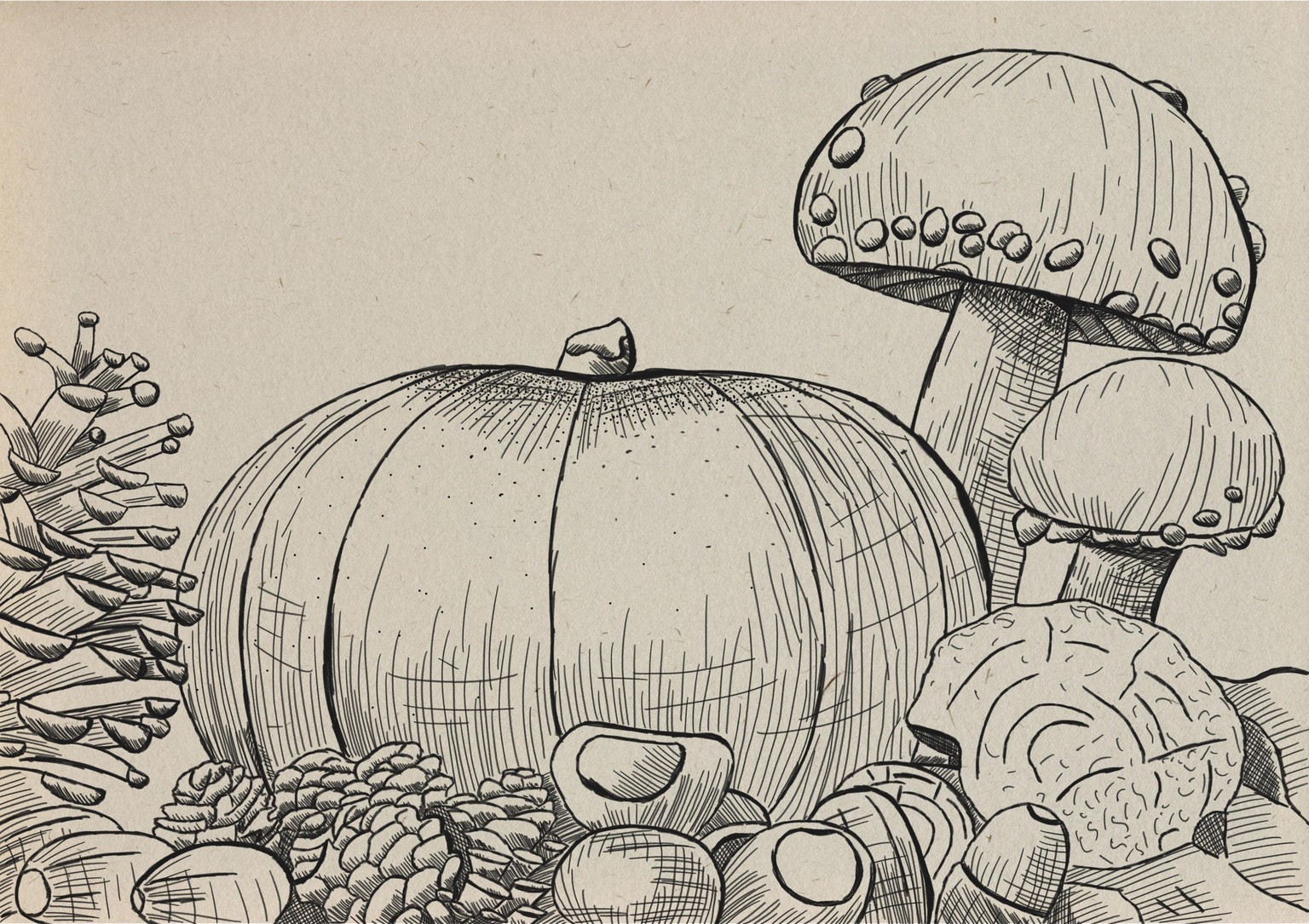 Paddestoel tekening - image 1 - student project