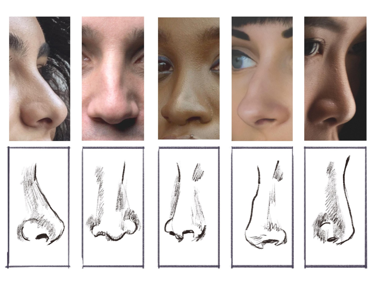Portrait drawing with Brooke - image 1 - student project