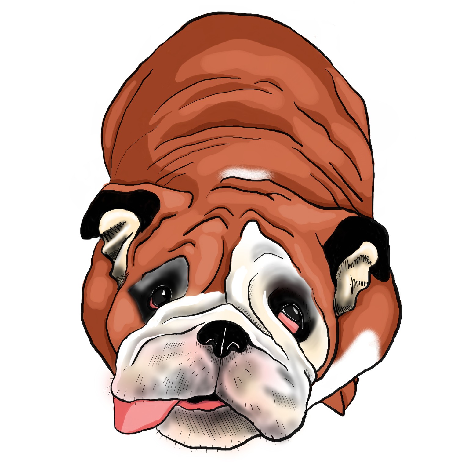 the gus - image 1 - student project