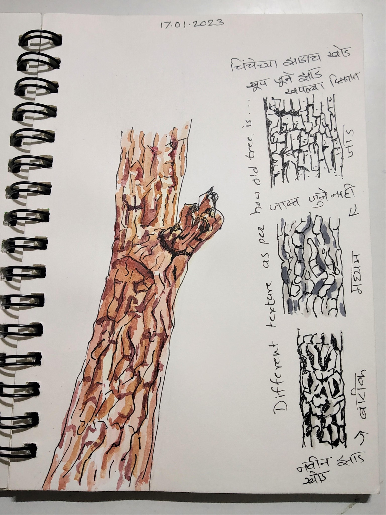 Nature Journal 2023 - image 4 - student project