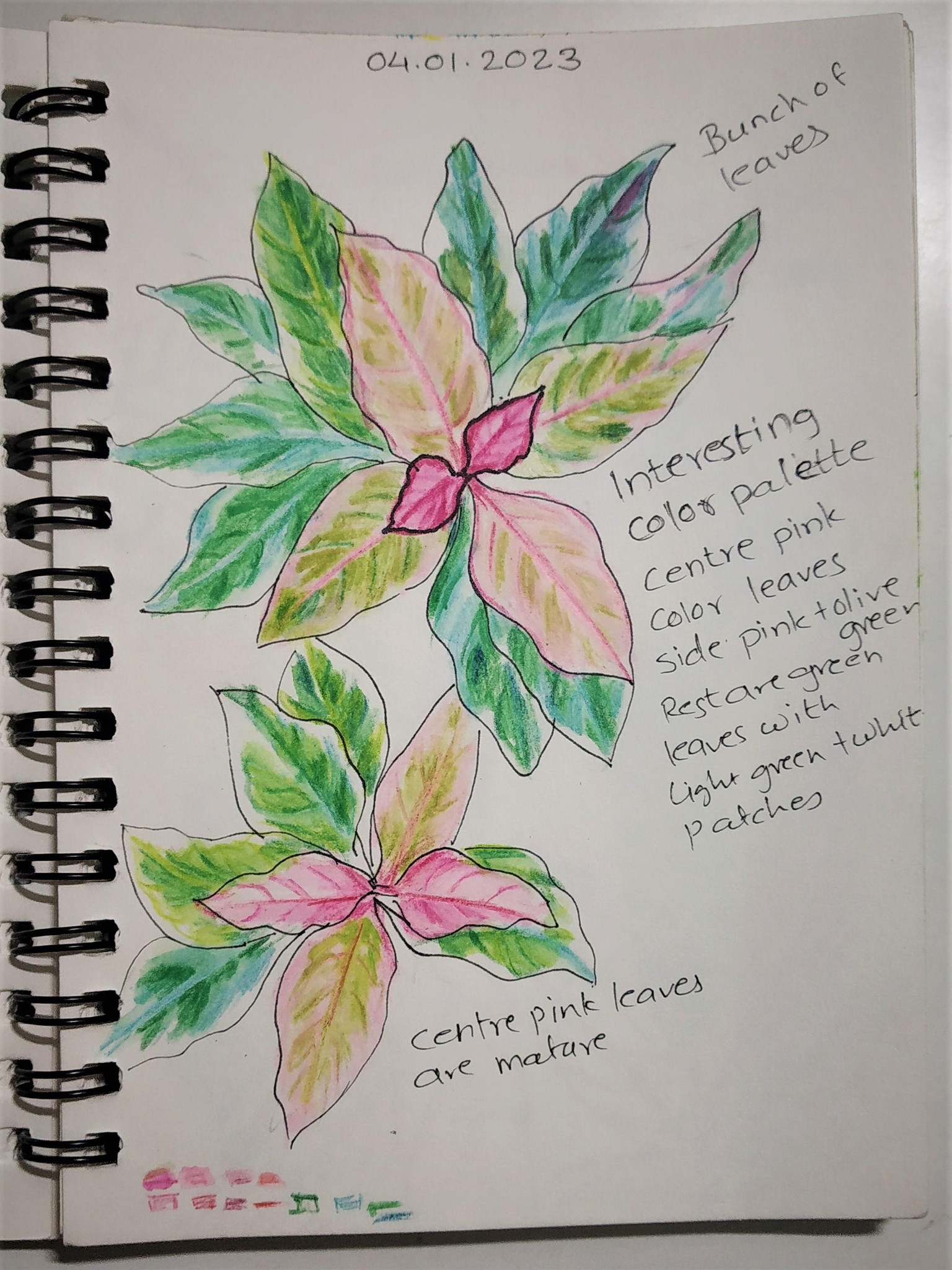 Nature Journal 2023 - image 3 - student project