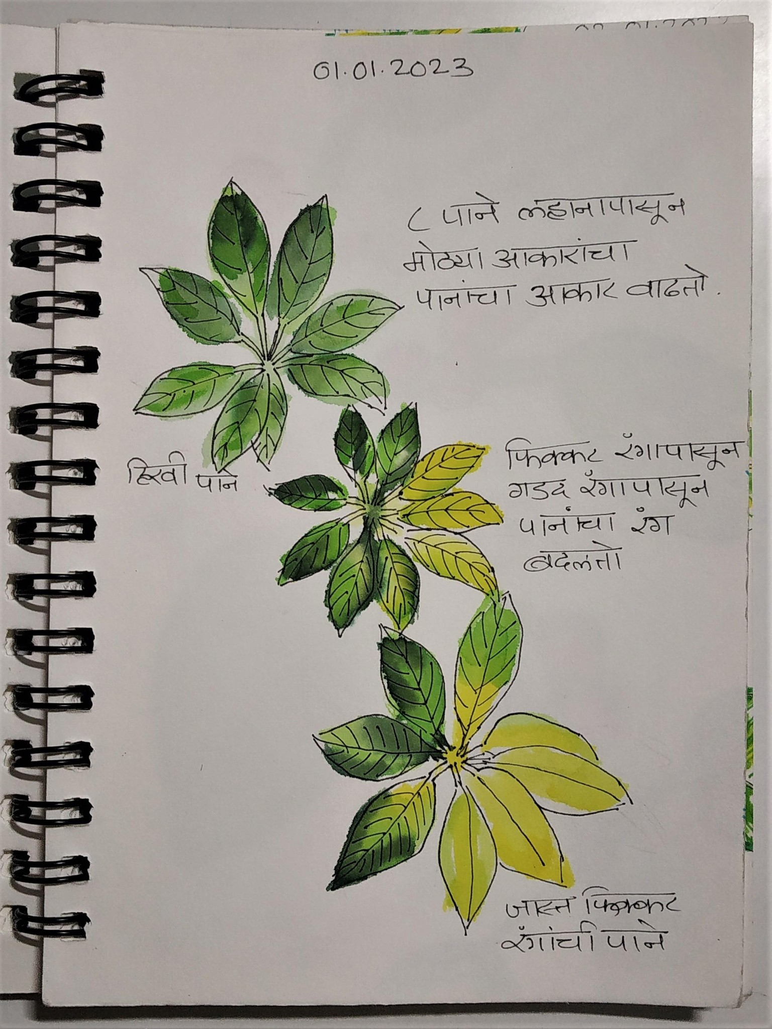 Nature Journal 2023 - image 1 - student project