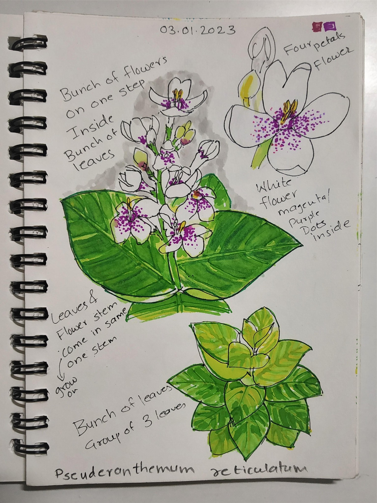 Nature Journal 2023 - image 2 - student project