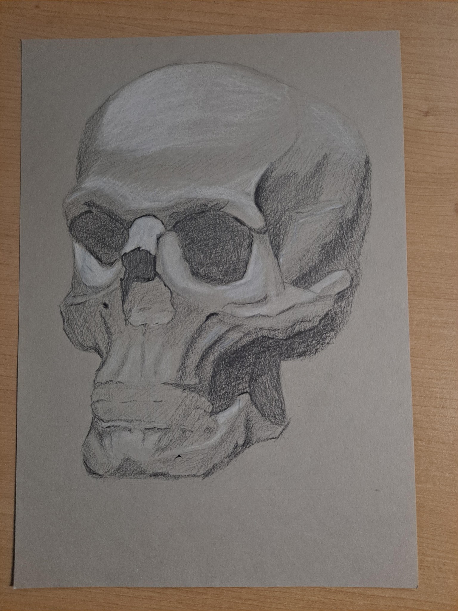Skulls - image 2 - student project