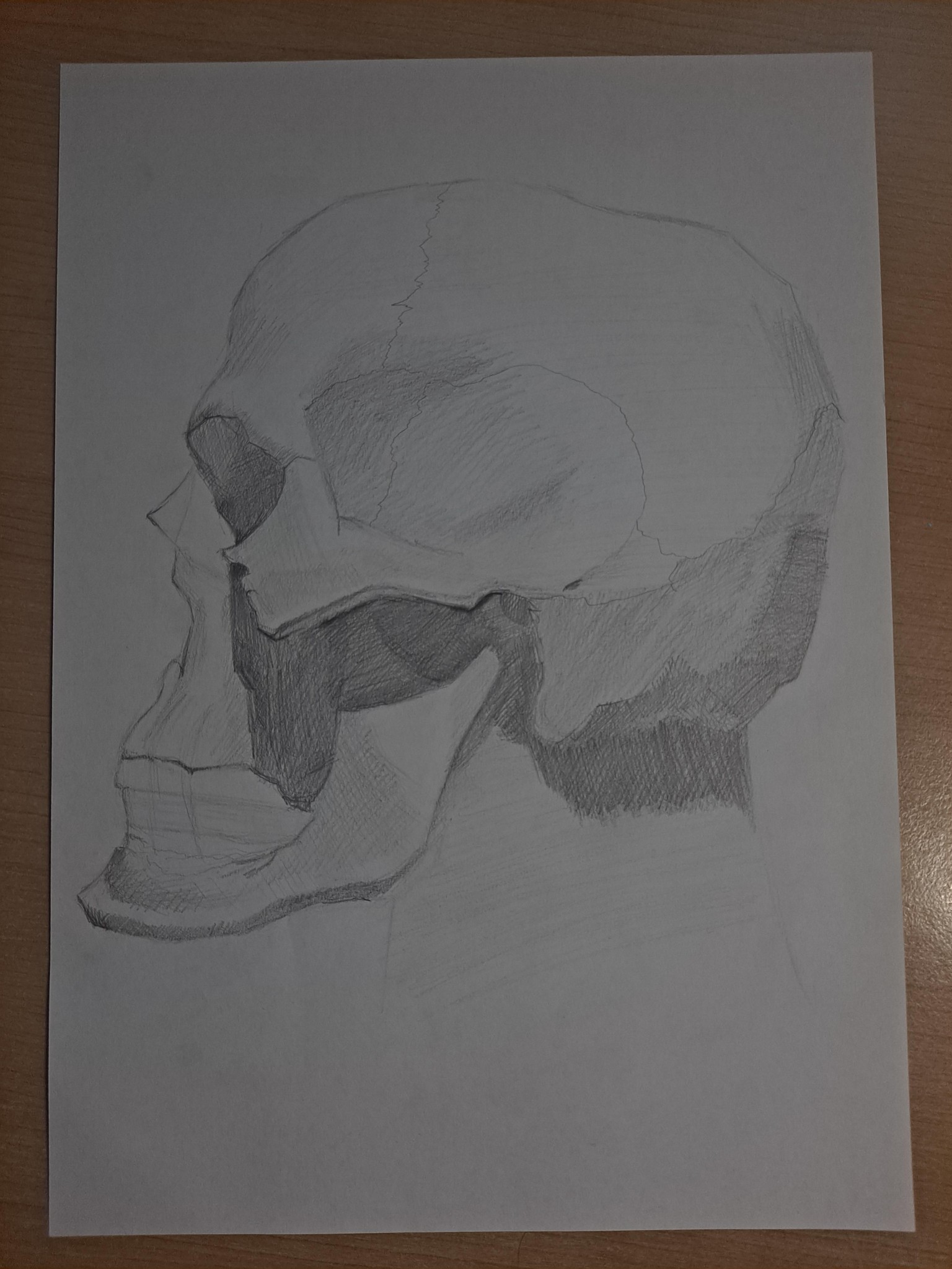 Skulls - image 3 - student project